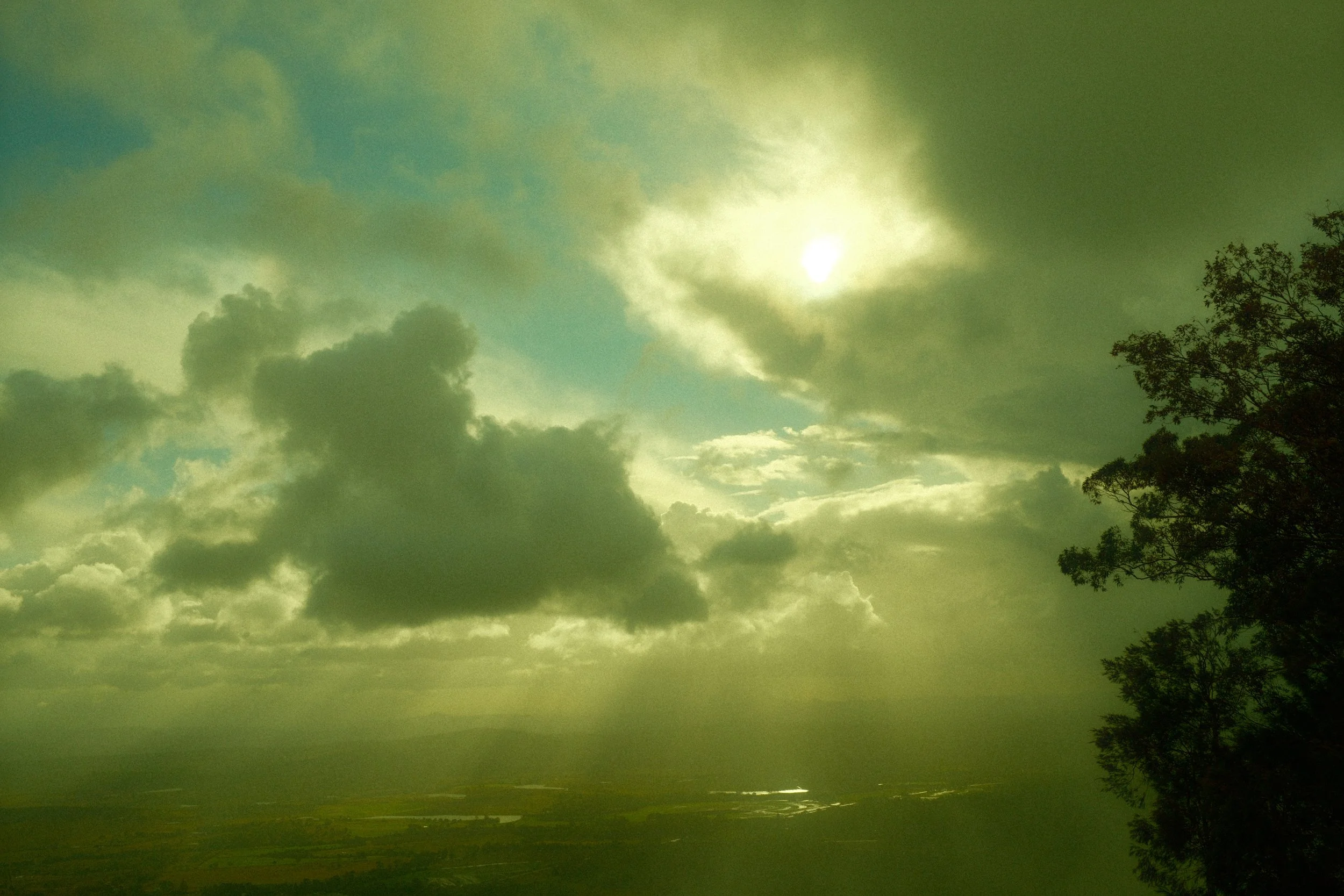 DSCF0393.jpg