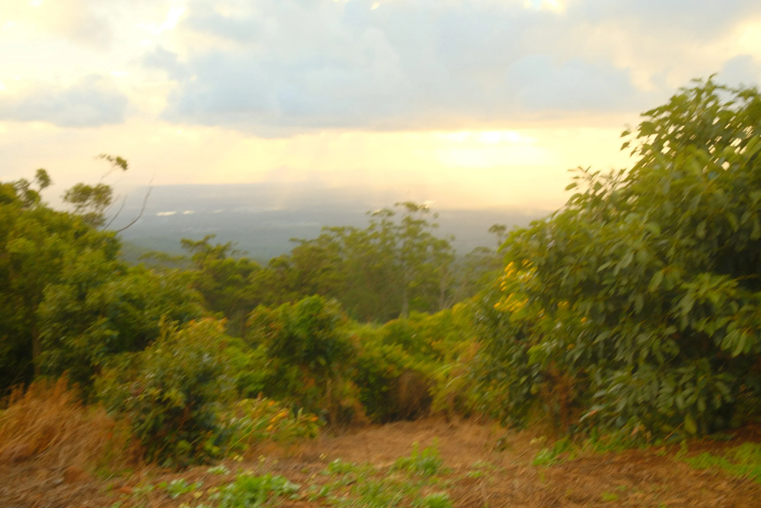 DSCF0483.jpg