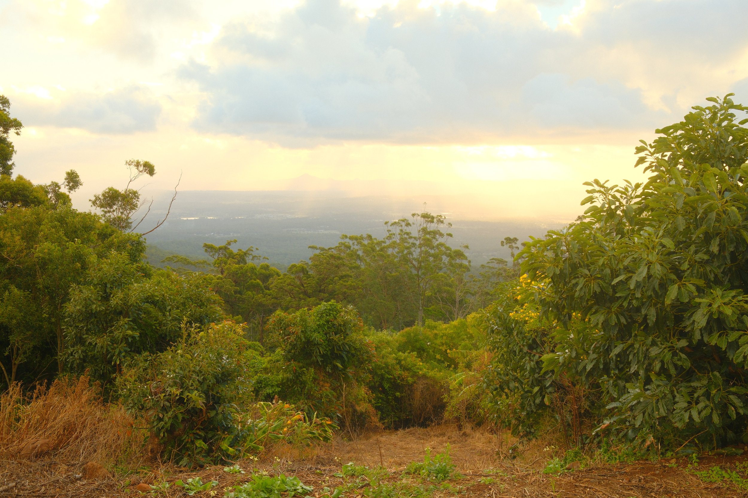 DSCF0485.jpg