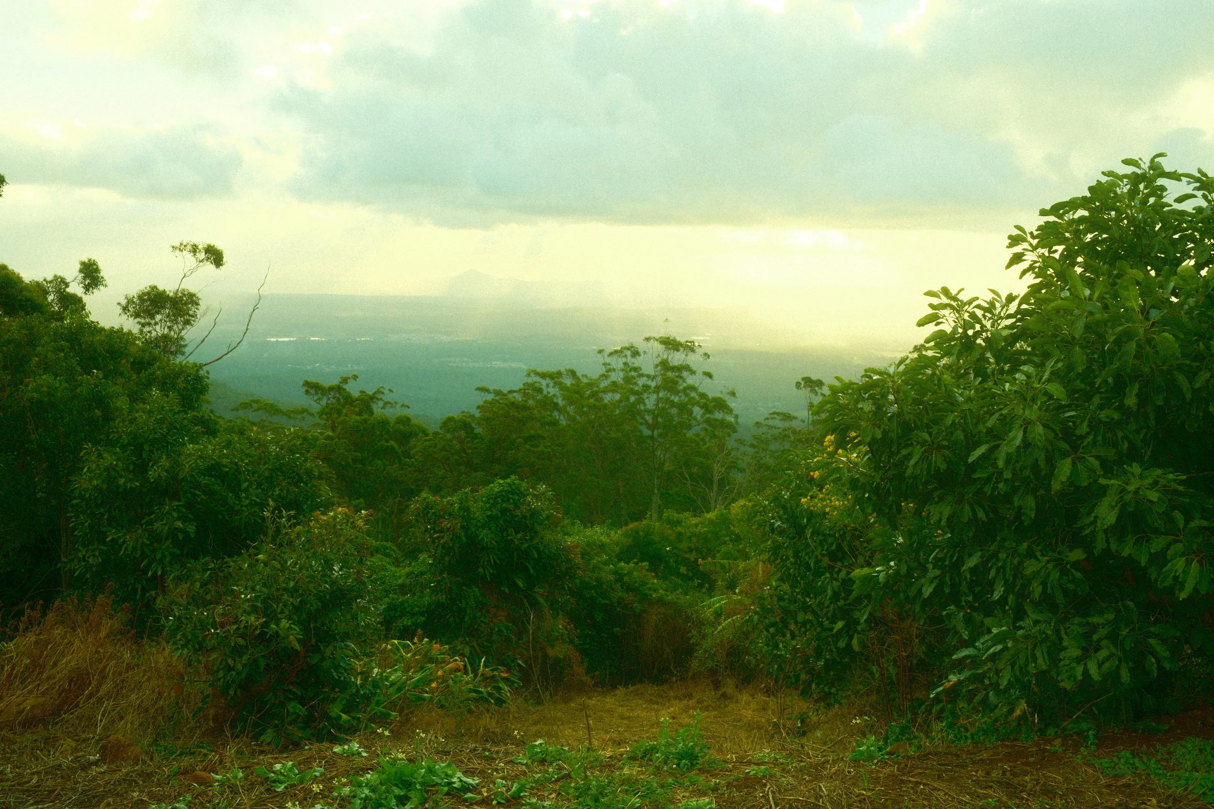 DSCF0486.jpg