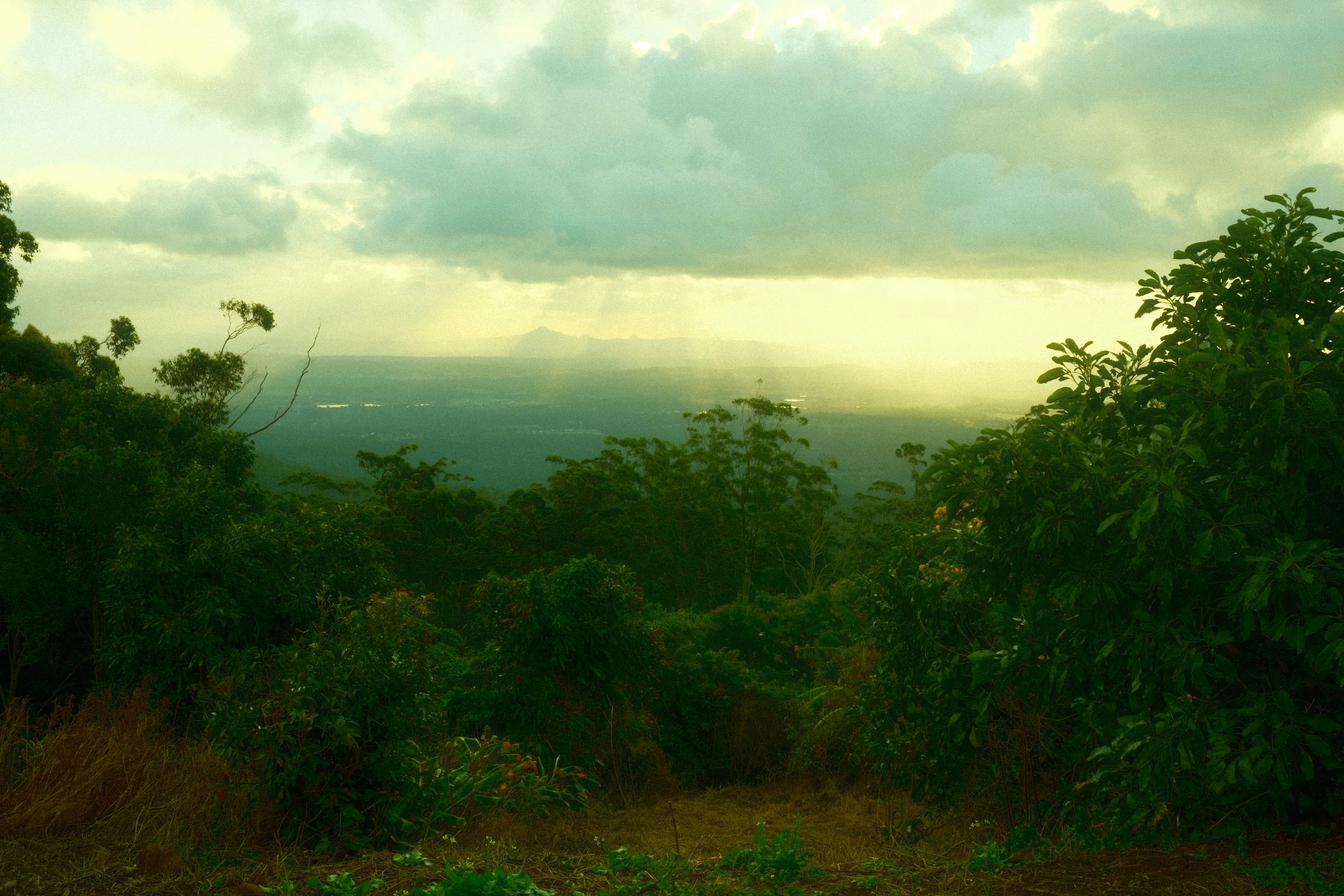 DSCF0487.jpg