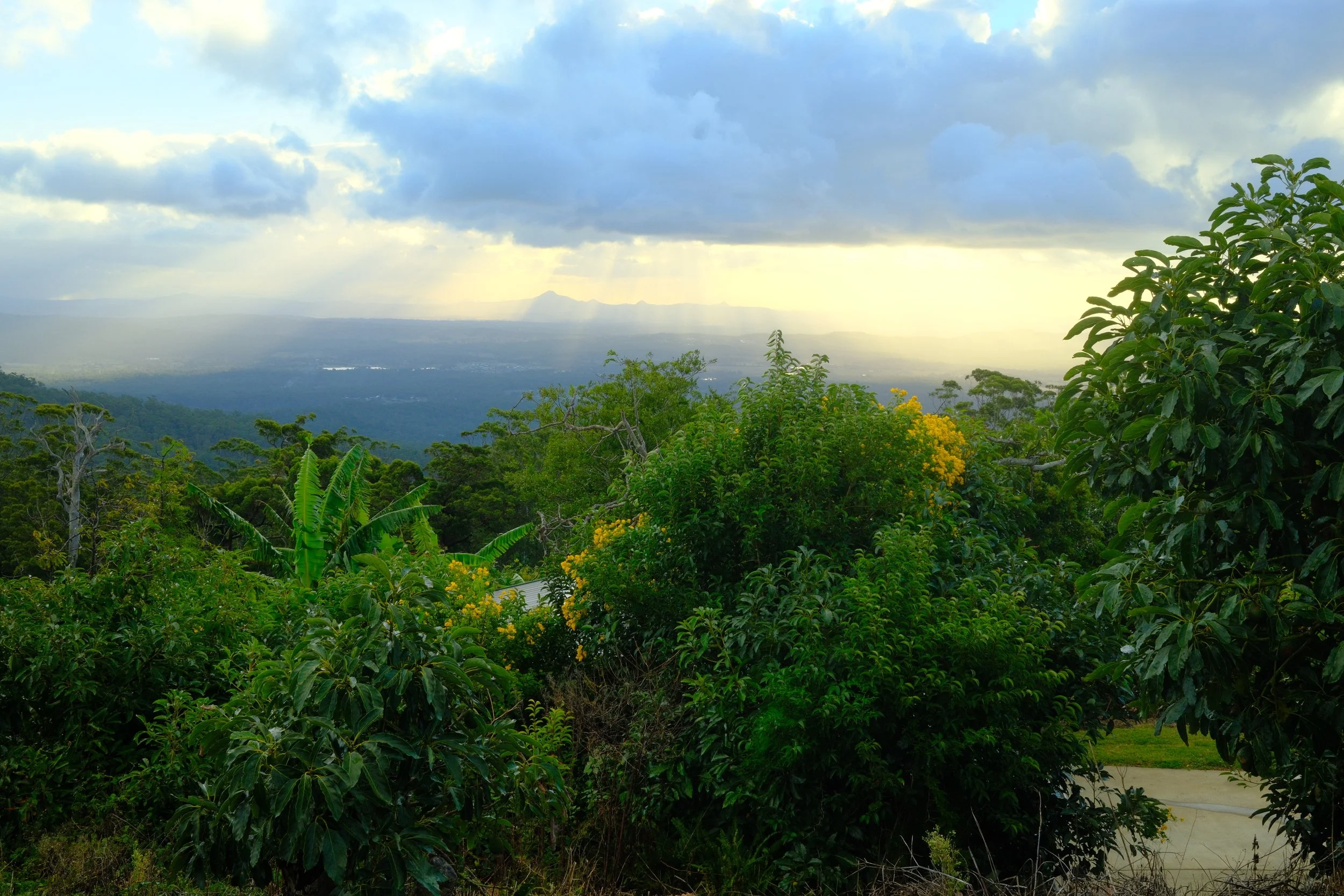 DSCF0488.jpg