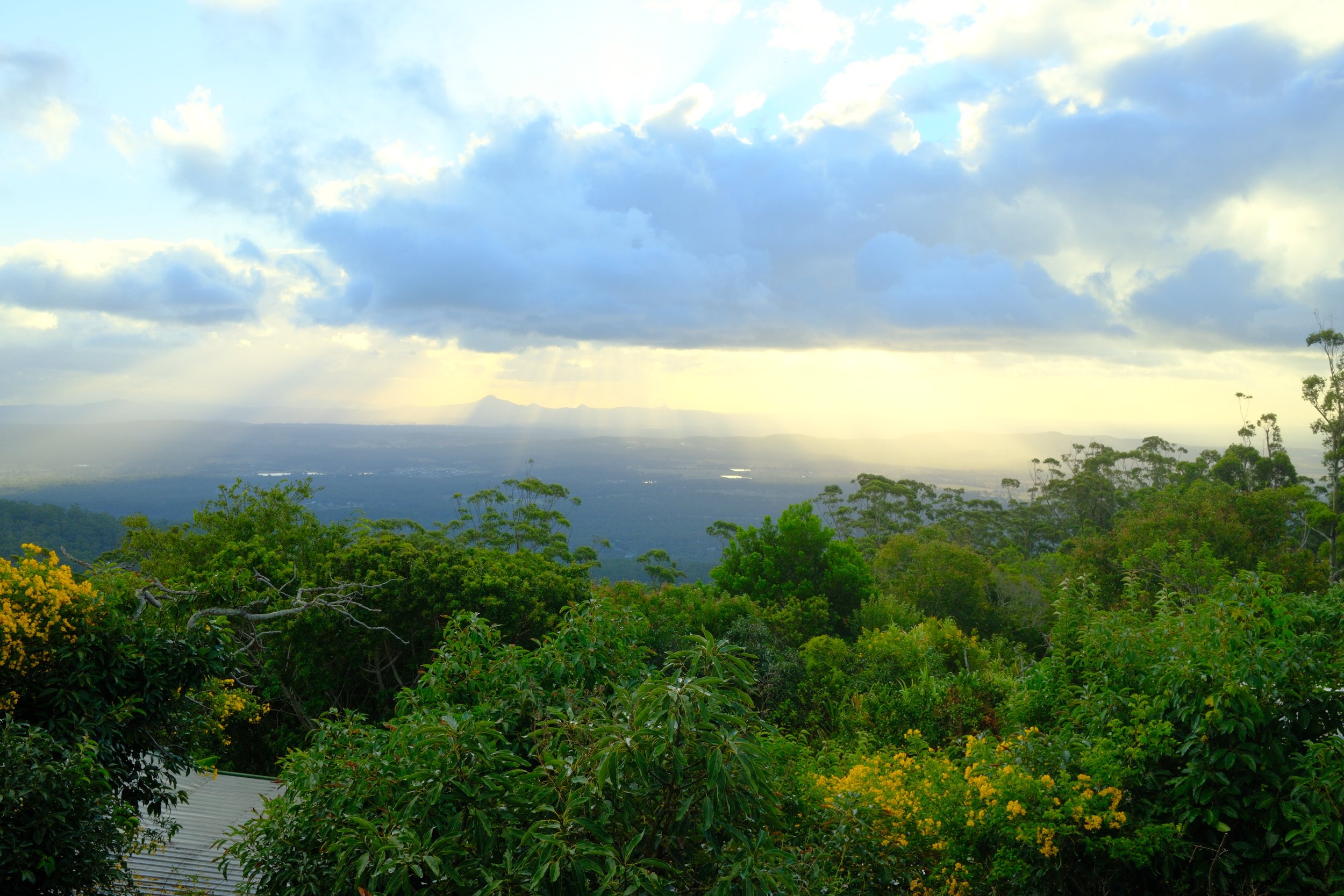 DSCF0490.jpg