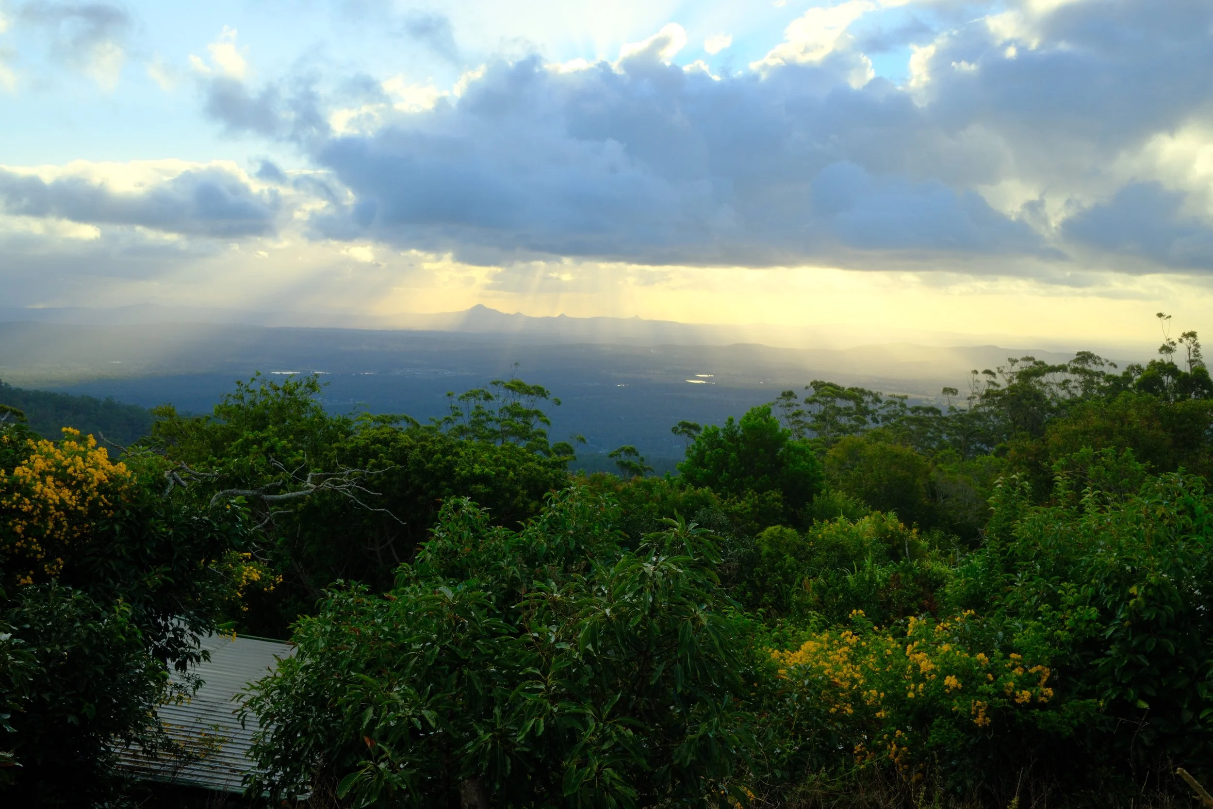 DSCF0491.jpg