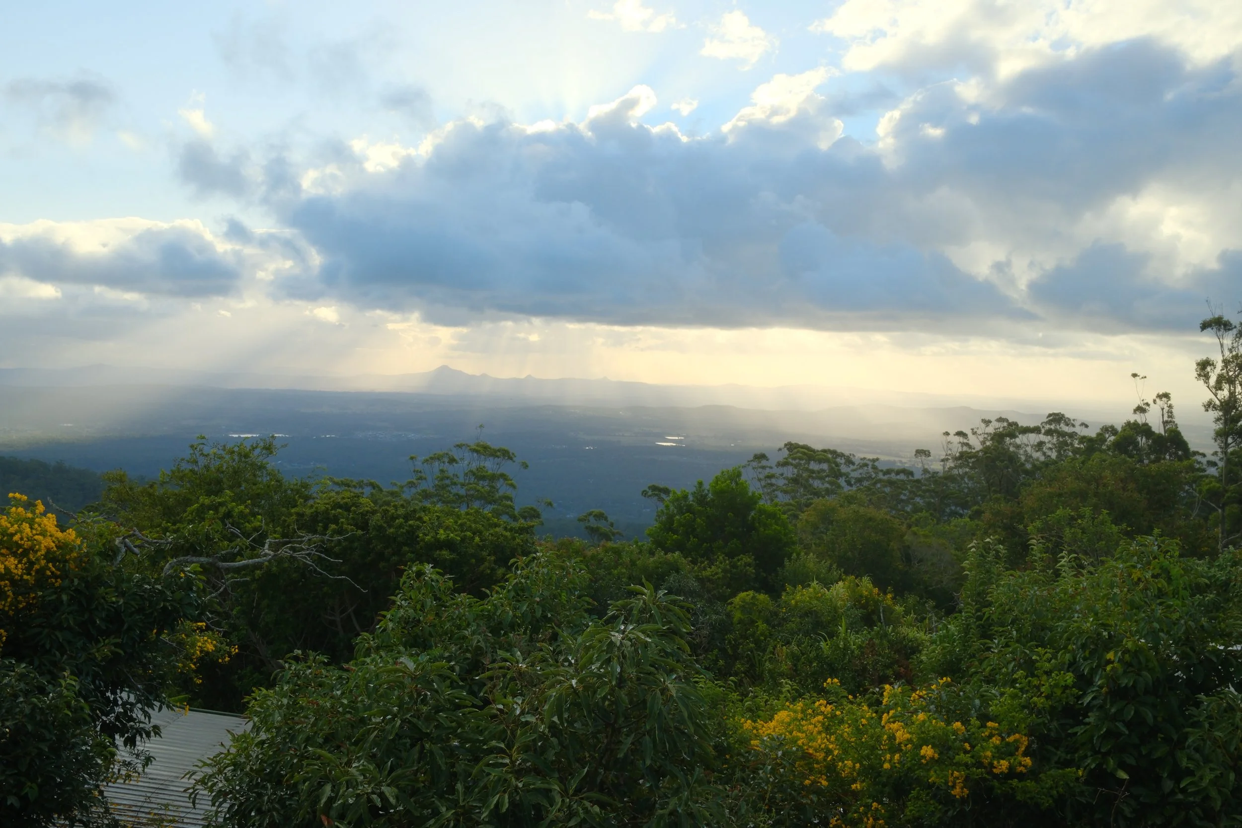 DSCF0492.jpg