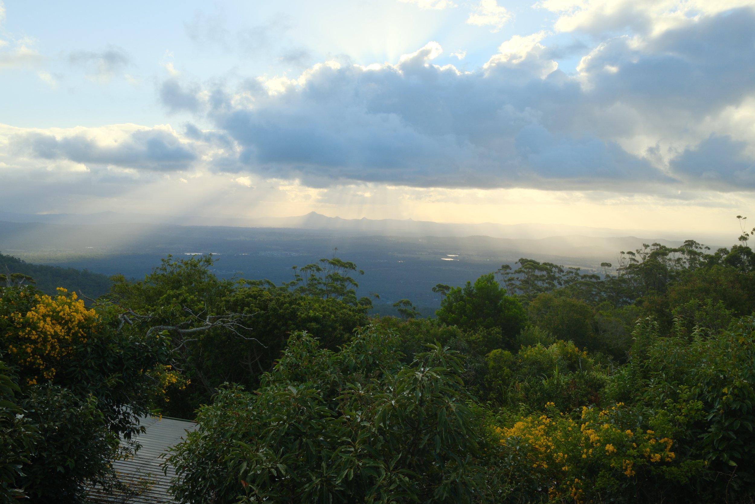 DSCF0493.jpg
