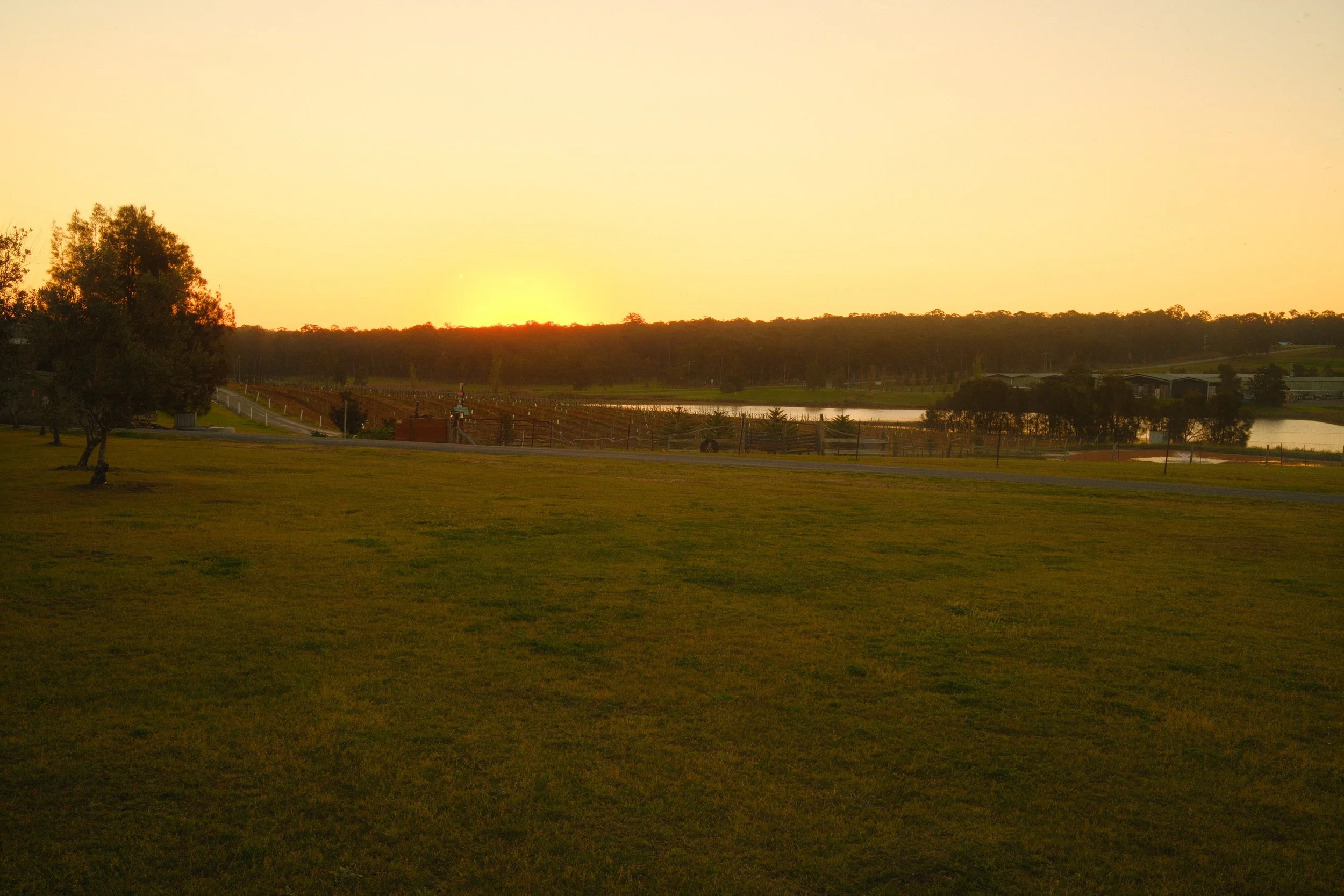 Photos from the Hunter Valley