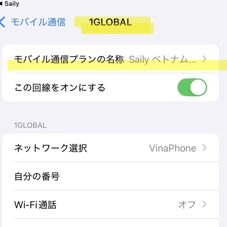Screenshot of a mobile phone settings page in Japanese, showing the plan name '1GLOBAL,' network selection 'VinaPhone,' and Wi-Fi calling turned off.