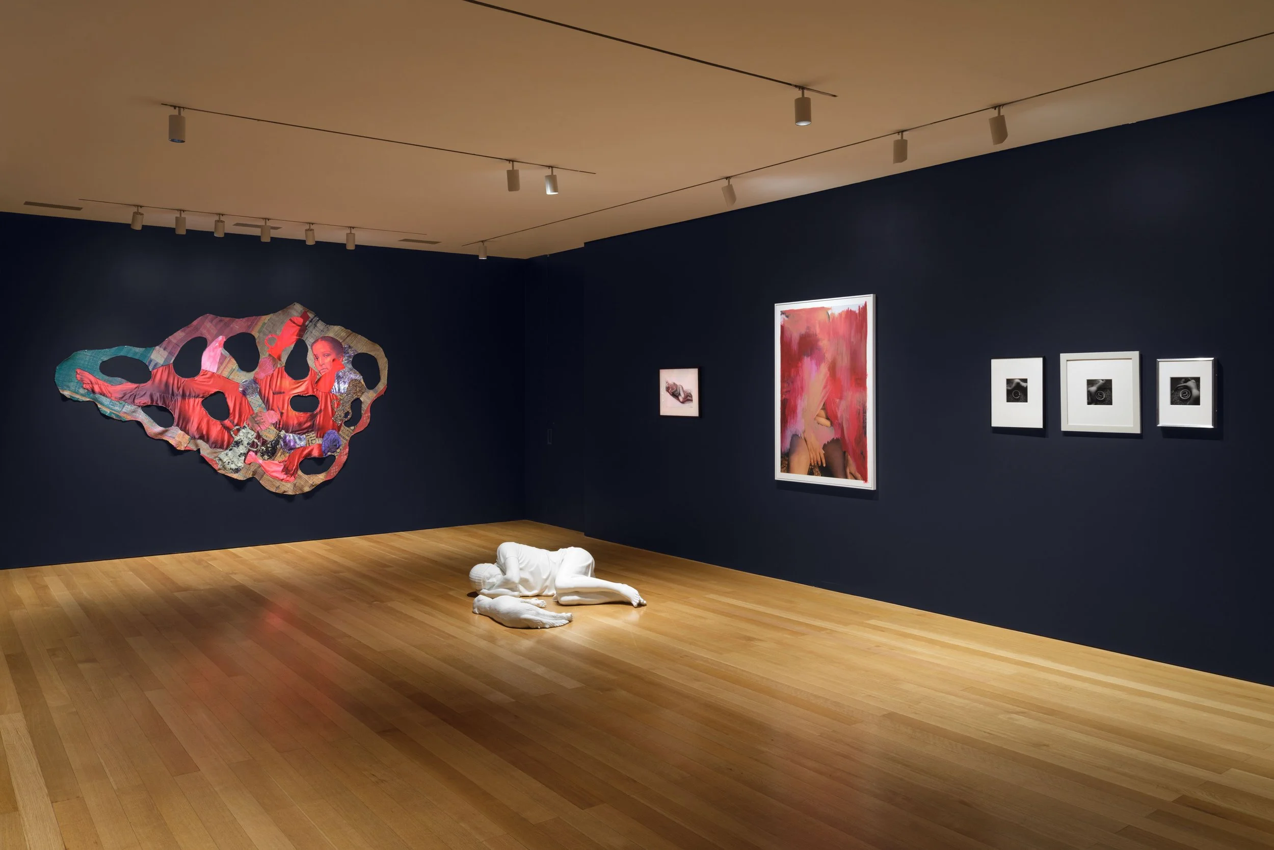  Installation view of  S-Curve  at The FLAG Art Foundation, 2026  Photography by Steven Probert Studio