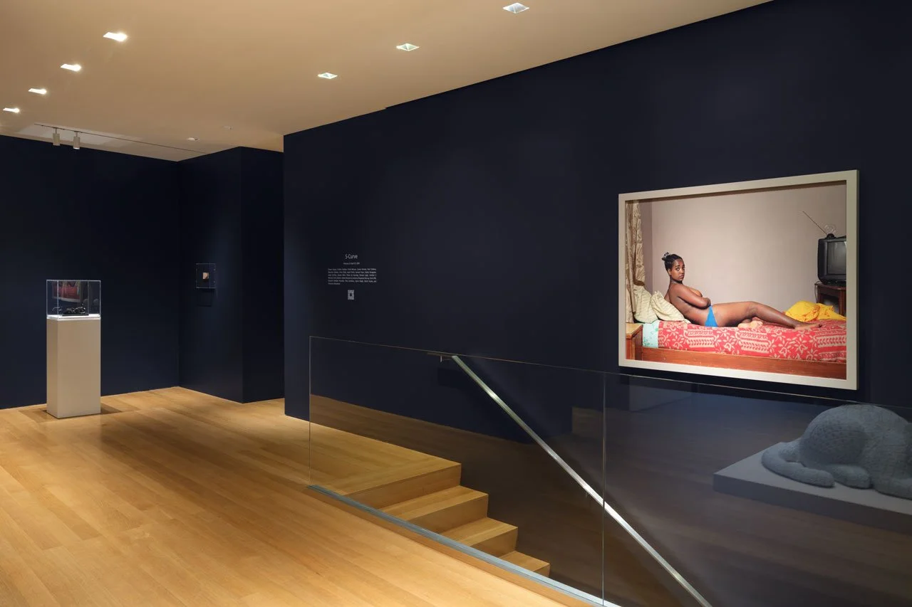 Installation view of  S-Curve  at The FLAG Art Foundation, 2026  Photography by Steven Probert Studio