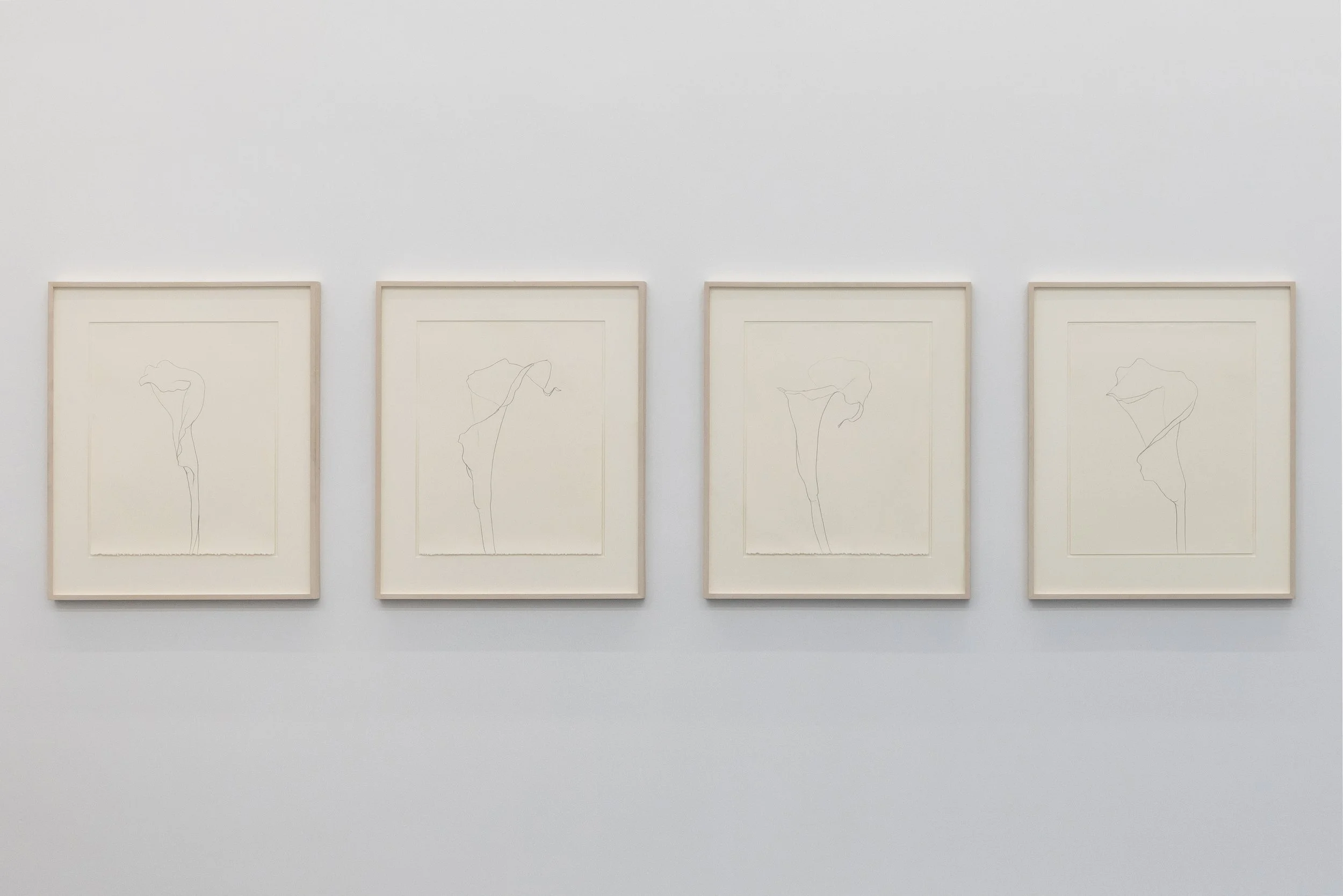  Installation view of  Ellsworth Kelly: Eight Decades  at the Parrish Art Museum, Water Mill, NY (March 8–July 19, 2026). Courtesy the Parrish Art Museum and The FLAG Art Foundation.  Photo: Jenny Gorman