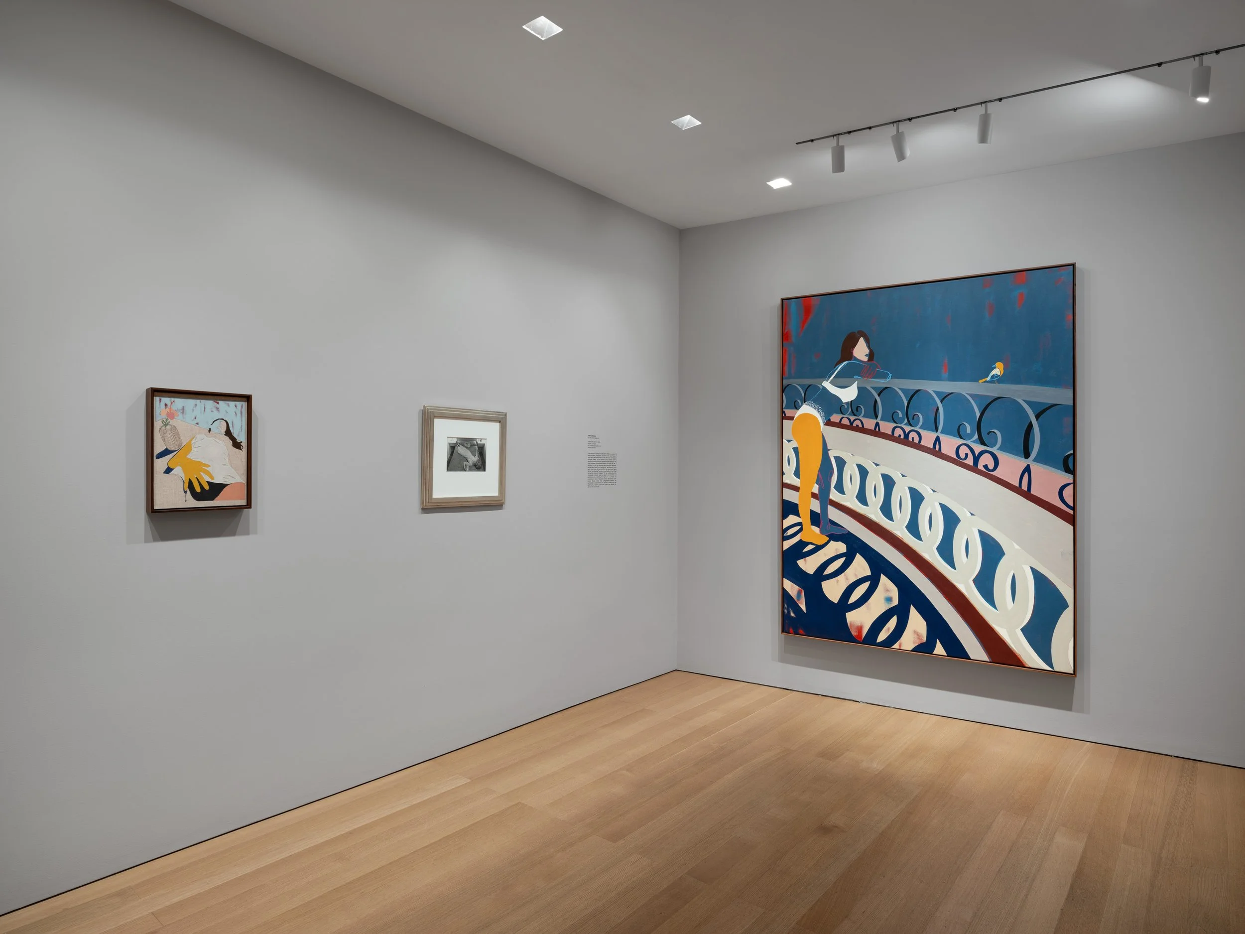  Installation view of  Anoushka Mirchandani: Everyone You Loves Lives Here  at The FLAG Art Foundation, 2026  Photography by Daniel Greer