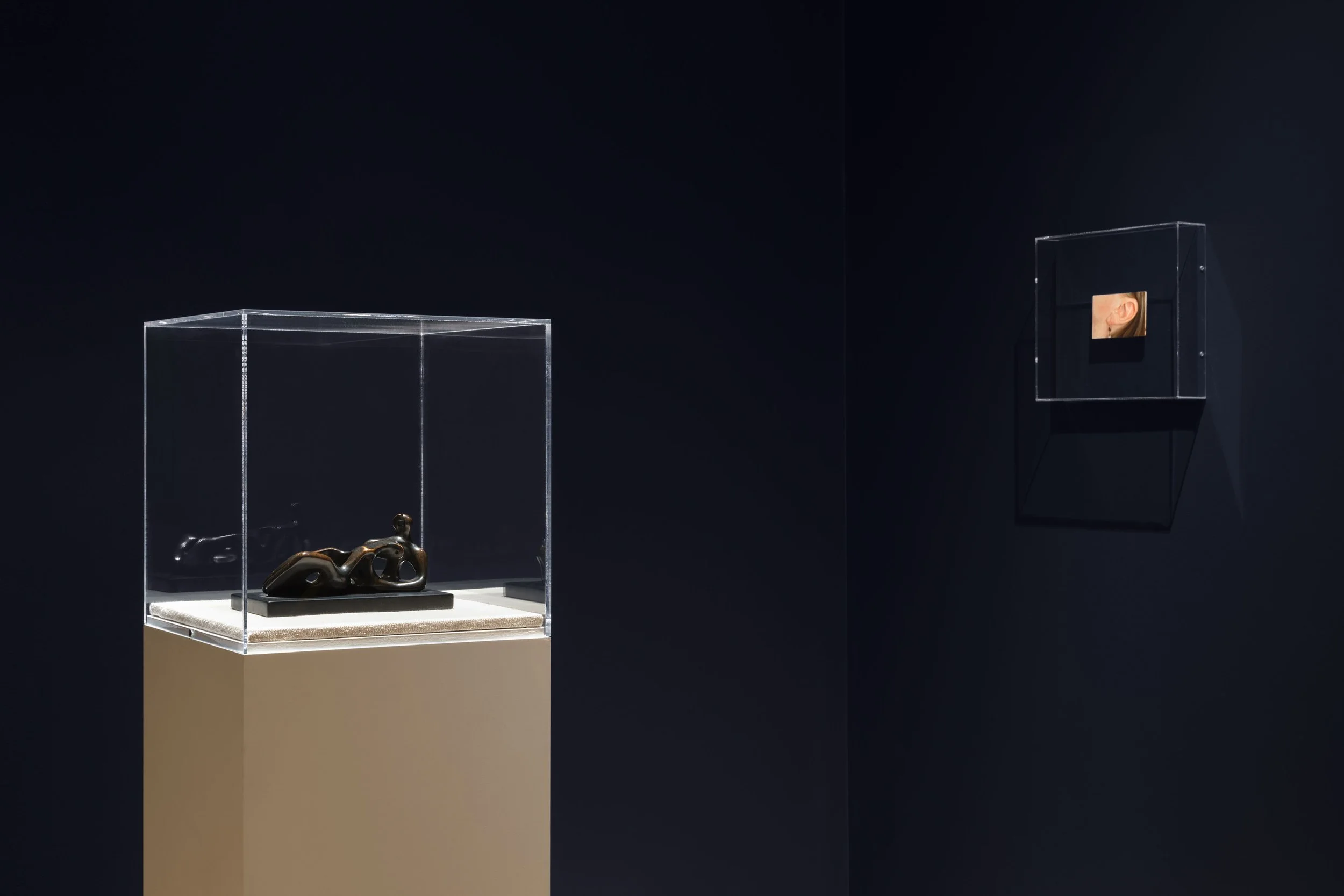  Installation view of  S-Curve  at The FLAG Art Foundation, 2026  Photography by Steven Probert Studio