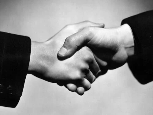 "NORTH-FACING BACKYARD"