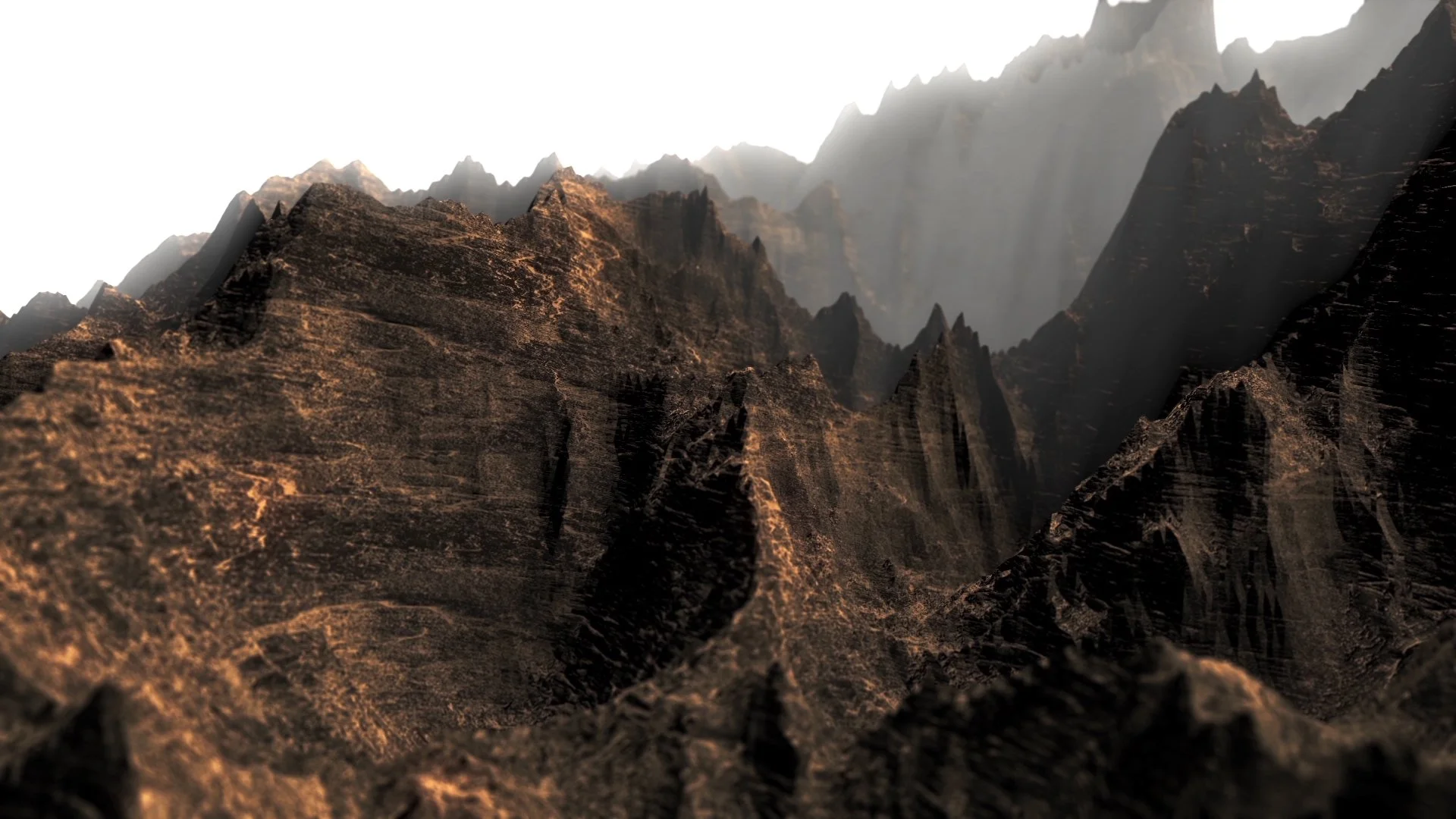 Terrain
