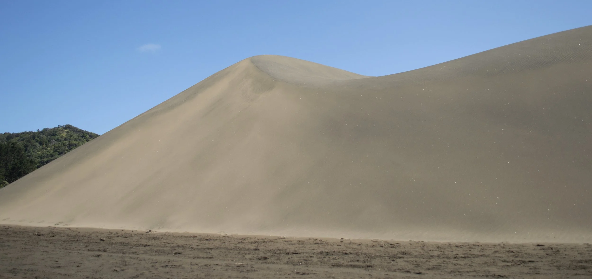 Bethells Beach_7.jpg