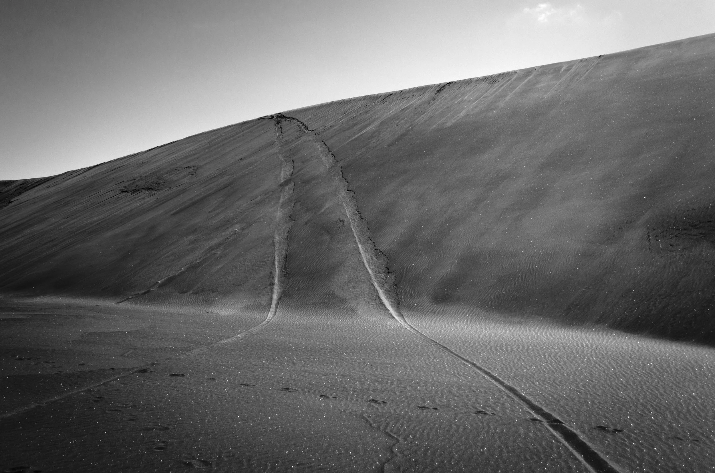 Bethells Beach - Black & White.jpg
