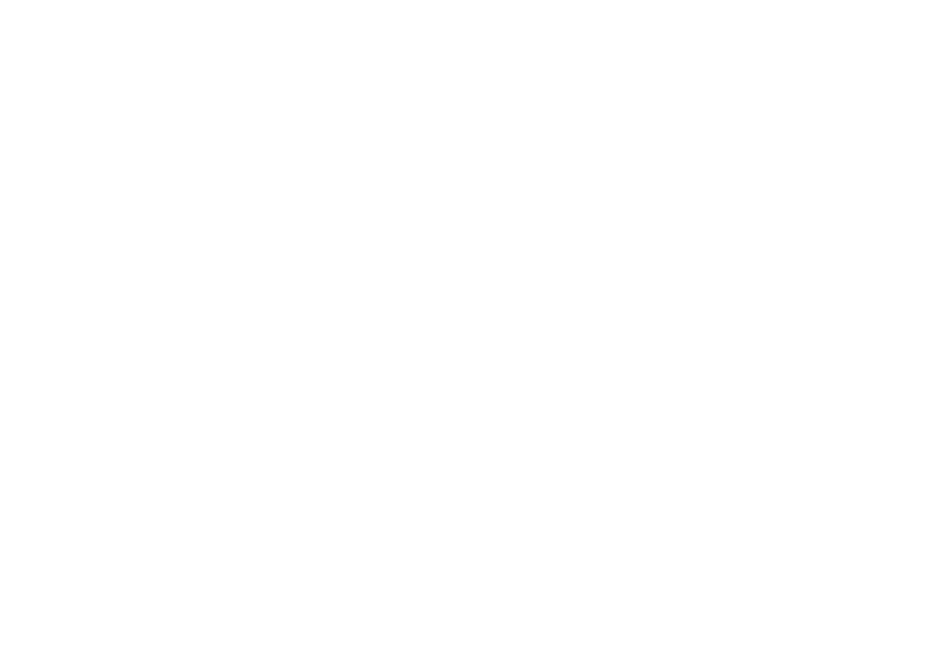 plimmik