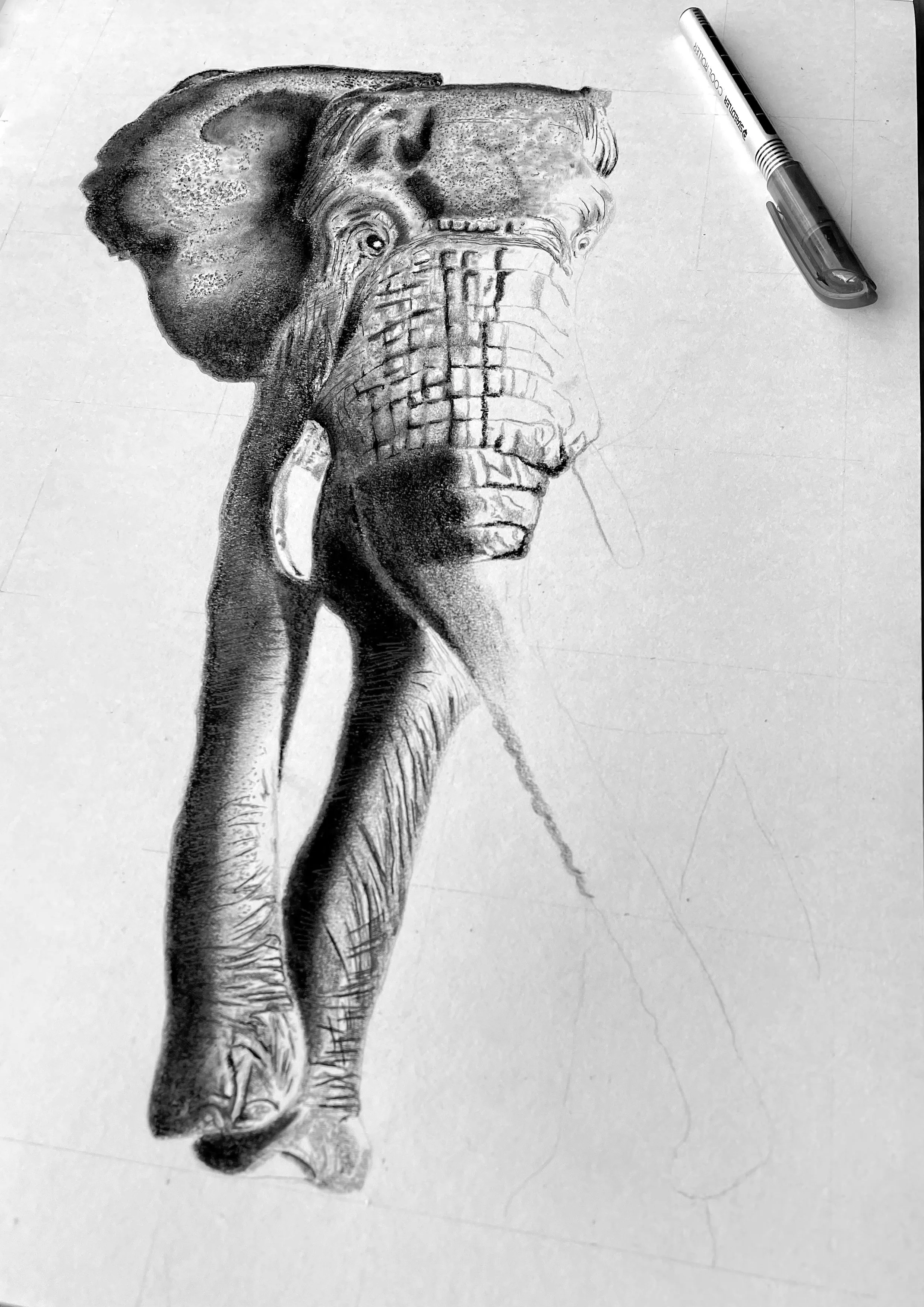 Elephant, WIP.jpg