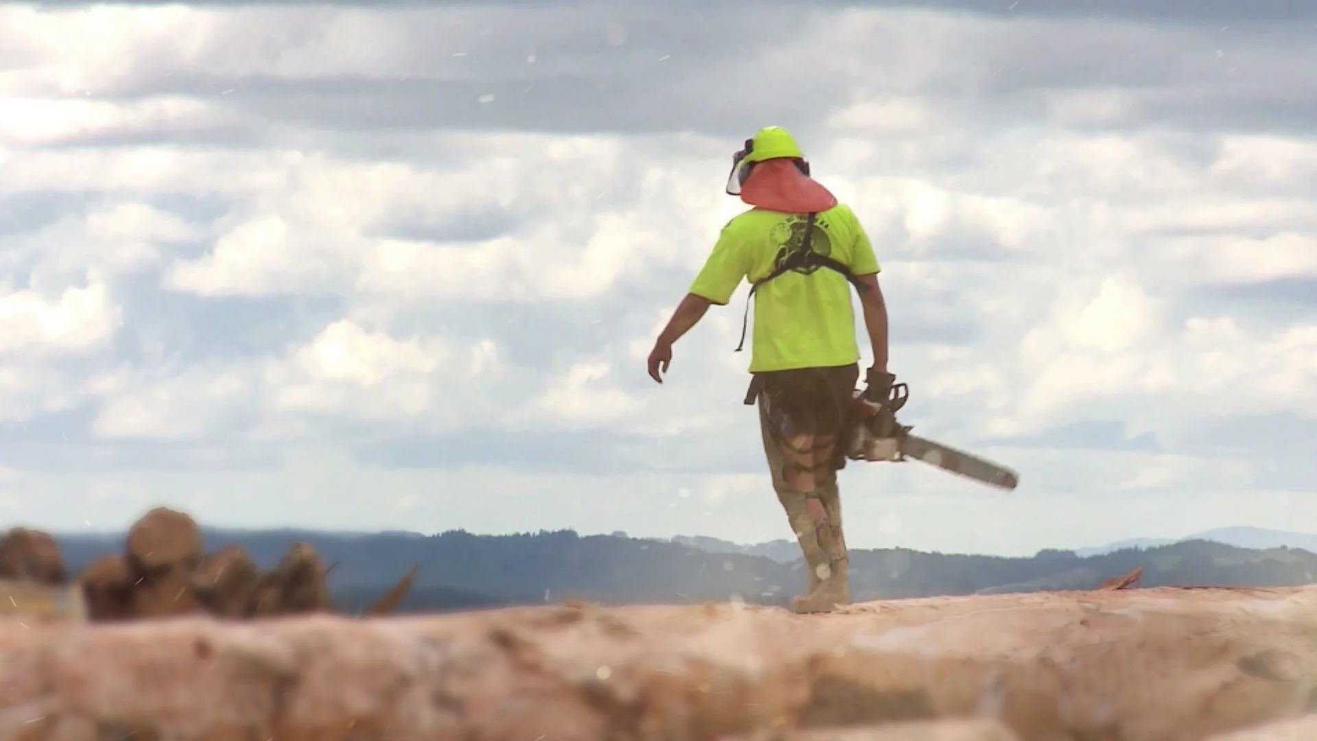 FORESTRY WORKER.jpg