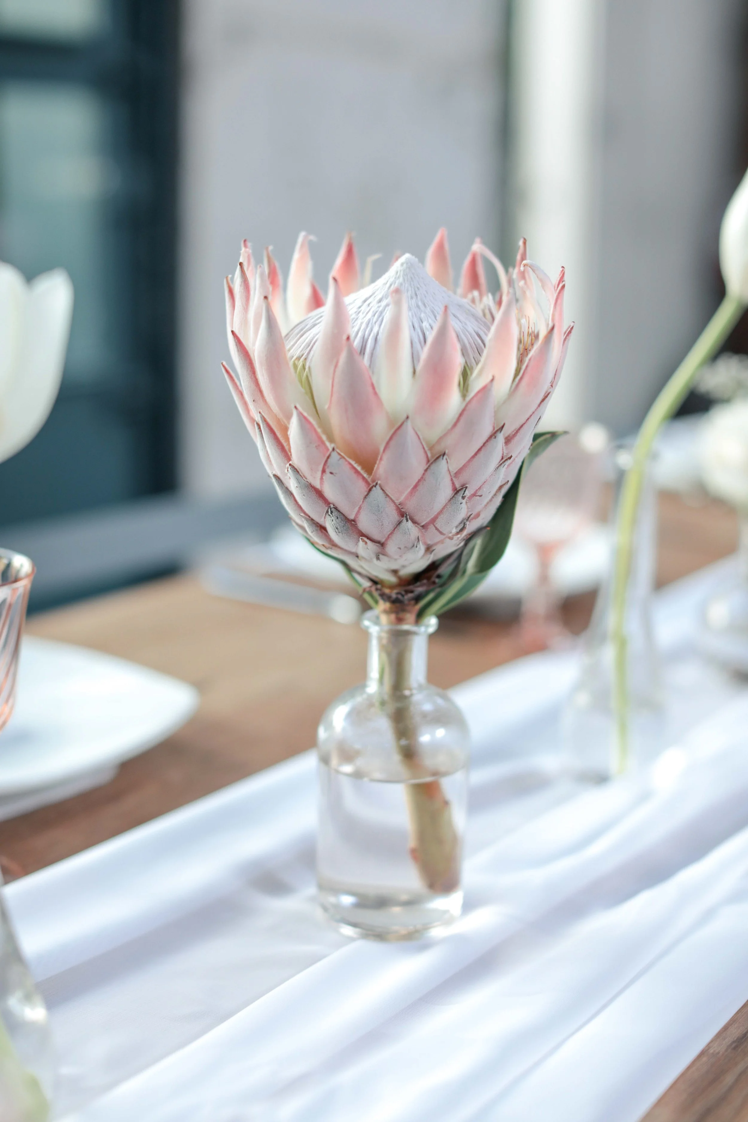 fooddesign-61.jpg