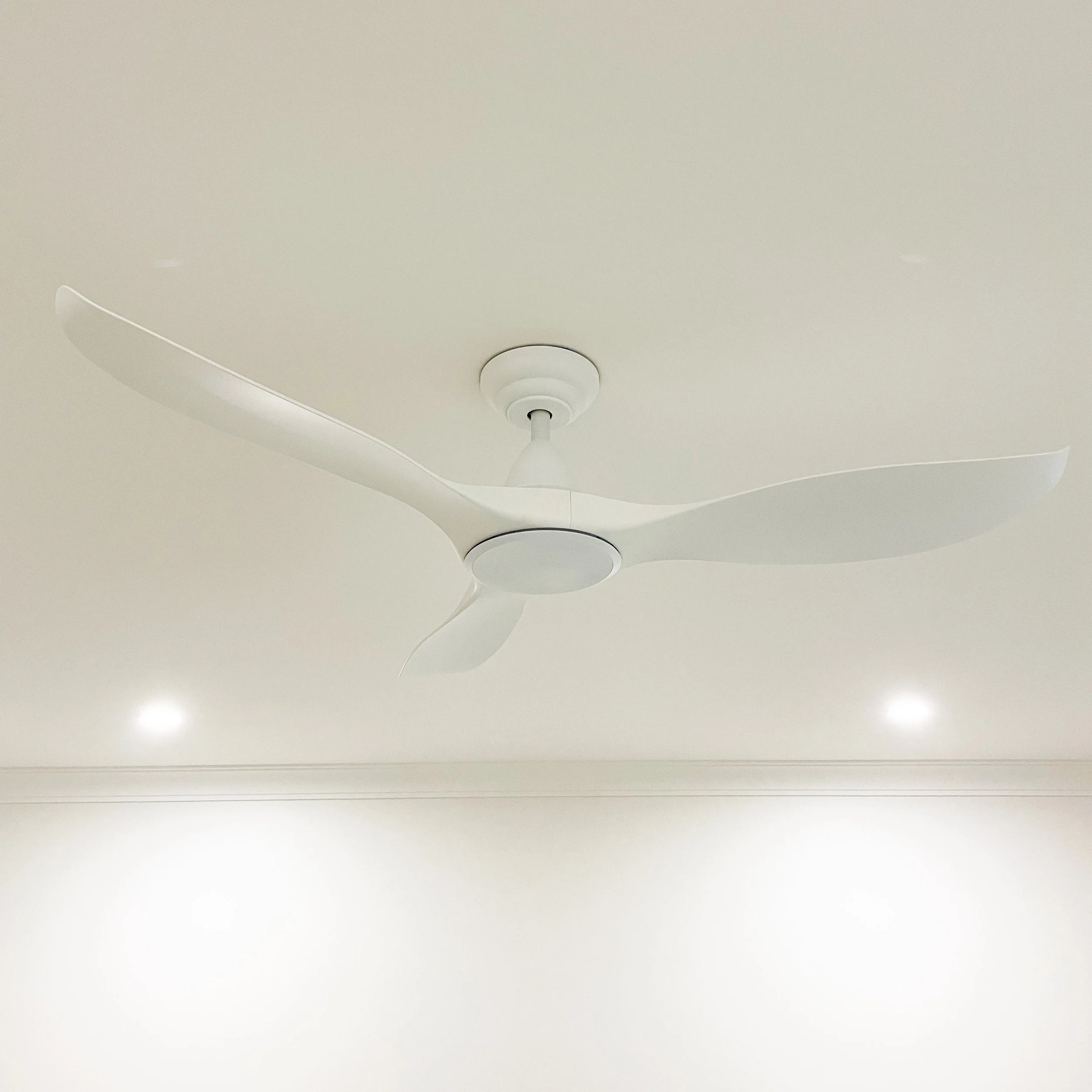 ceiling-fan.jpg