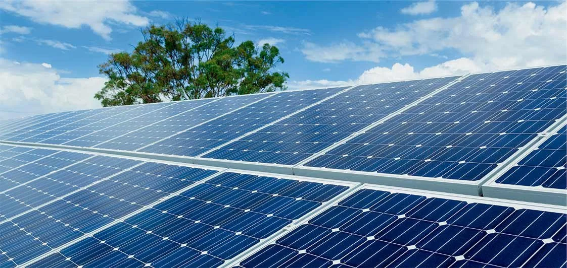 solar panels on the roof with a tree in the background