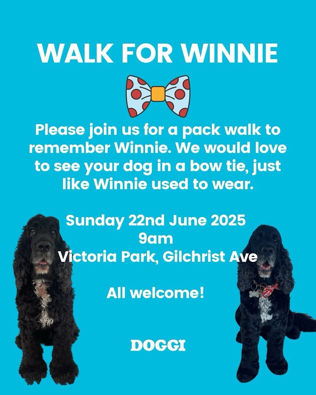 Please join us for our next pack walk to remember our boy, Winnie 💙 Winnie was known to look pretty handsome in a bow tie or two. We&rsquo;d love to see your dog in one too!

When: Sunday 22nd June 9am
Where: Victoria Park
Dress: Dogs in bow ties 🎀