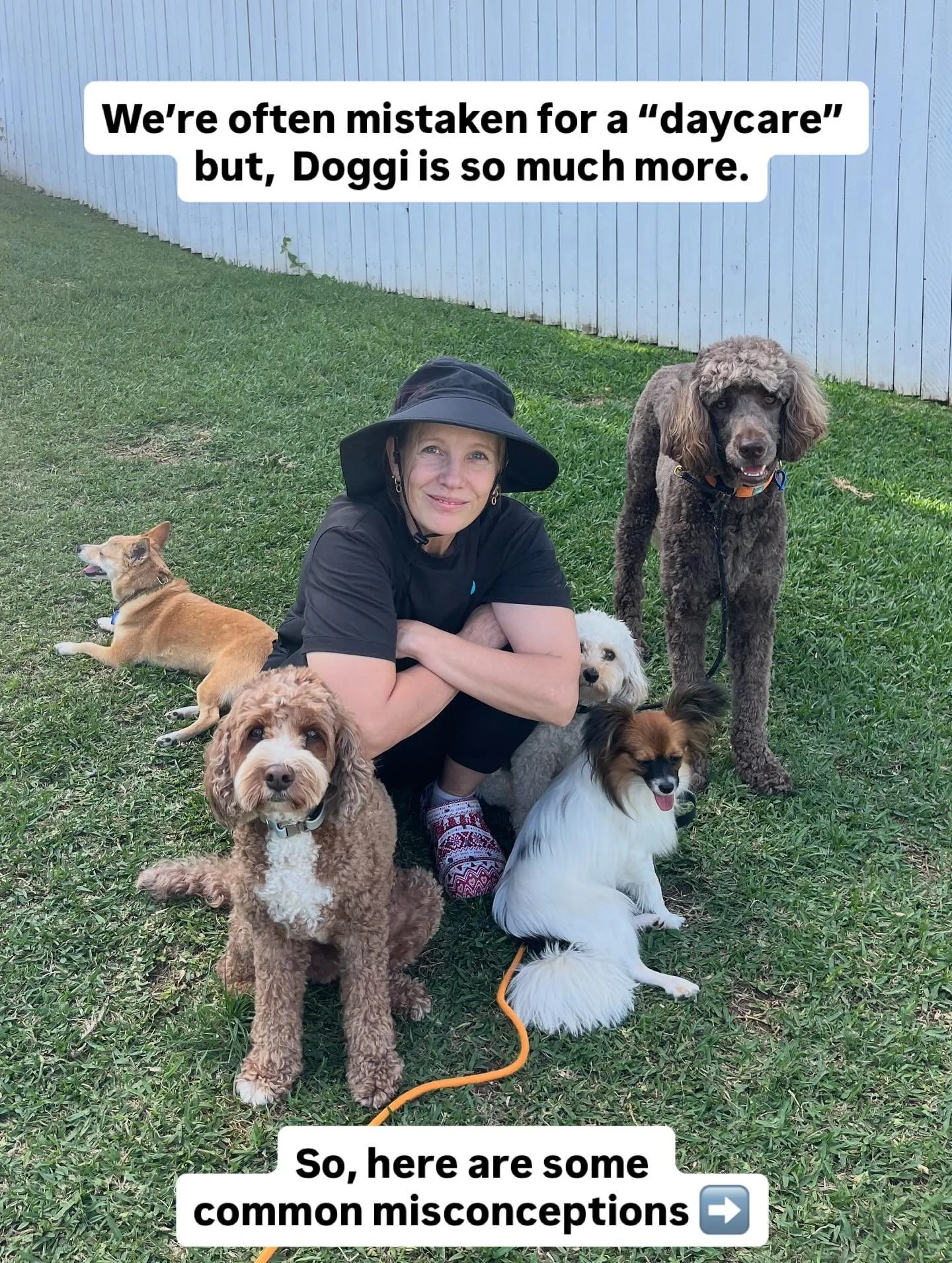 Doggi does things a bit differently, and we&rsquo;re proud of that! Swipe to find out more&hellip; 👀