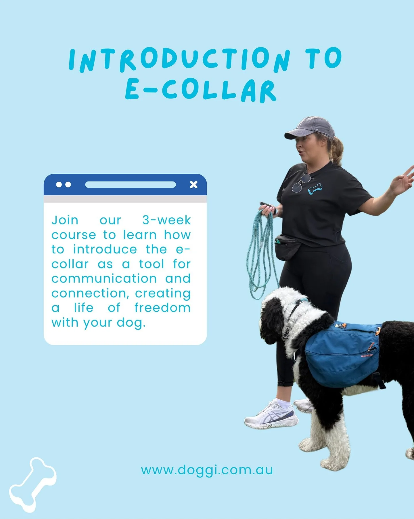 Limited spots available, don&rsquo;t miss out! 🐾

📌 Week 1: Sat 15 Nov | 8-9:30am
📌 Week 2: Sat 22 Nov | 8-9:30am
📌 Week 3: Sat 29 Nov | 8-9:30am

📣 Link in bio!