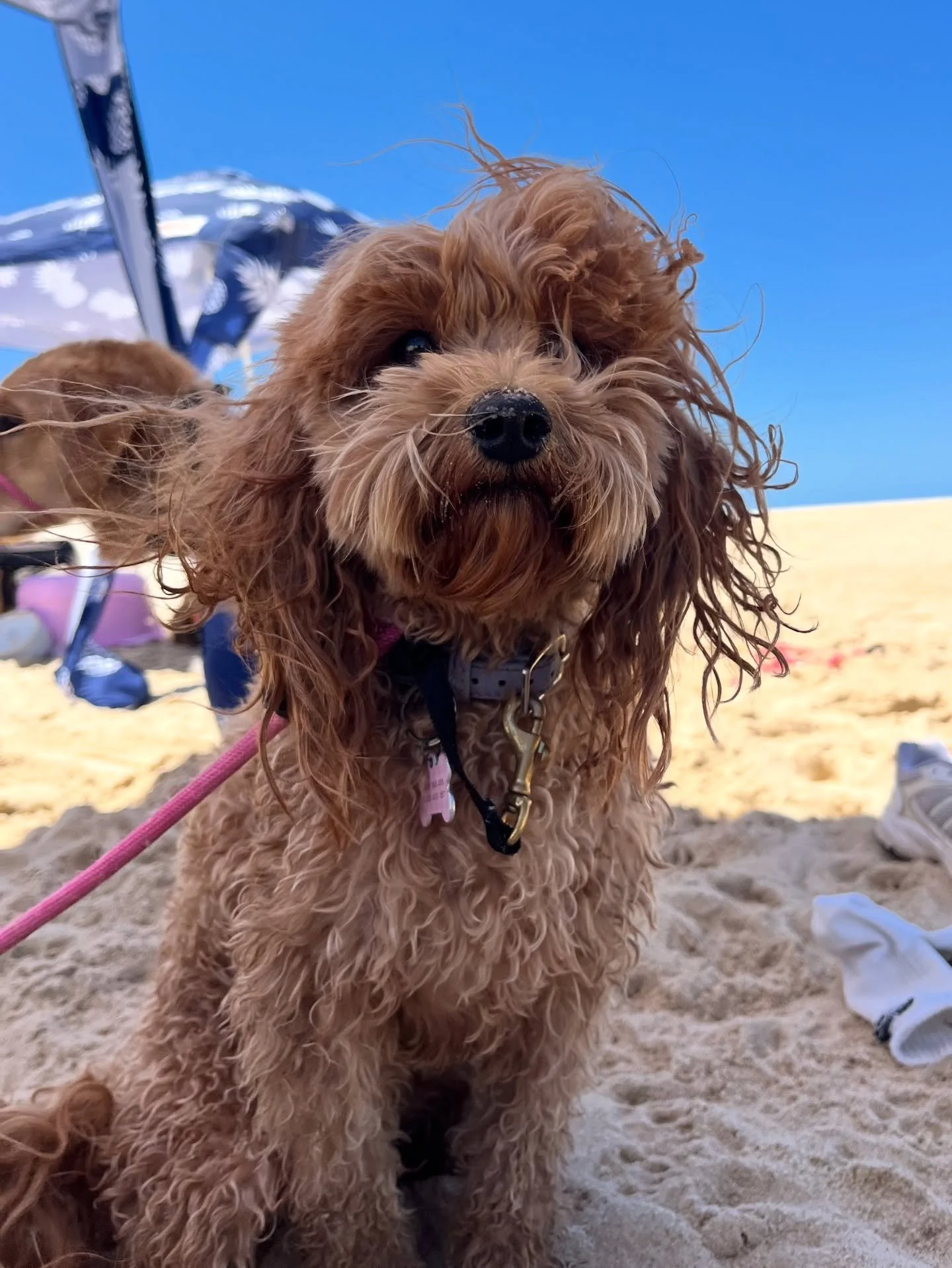 Couldn&rsquo;t have asked for a better way to finish off Destination Day&rsquo;s for the year 💛