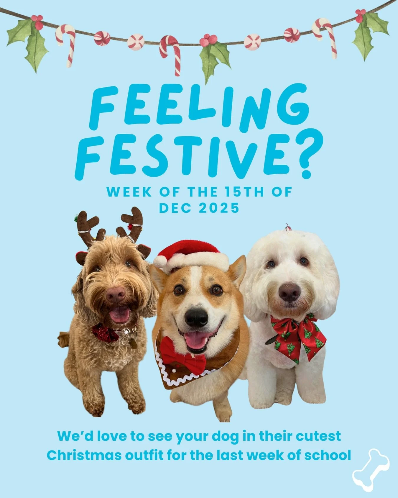 Santa paws is coming to school 🤫