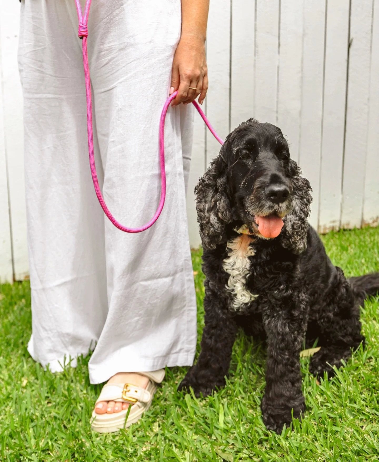 Want to enjoy walks with your dog? 

Meet the Doggi Lead, supporting calm, connected walks for happier dogs and humans.

Crafted to be comfortable and durable, it can be worn as a slip or an adjusted into a figure eight, helping you gain better contr