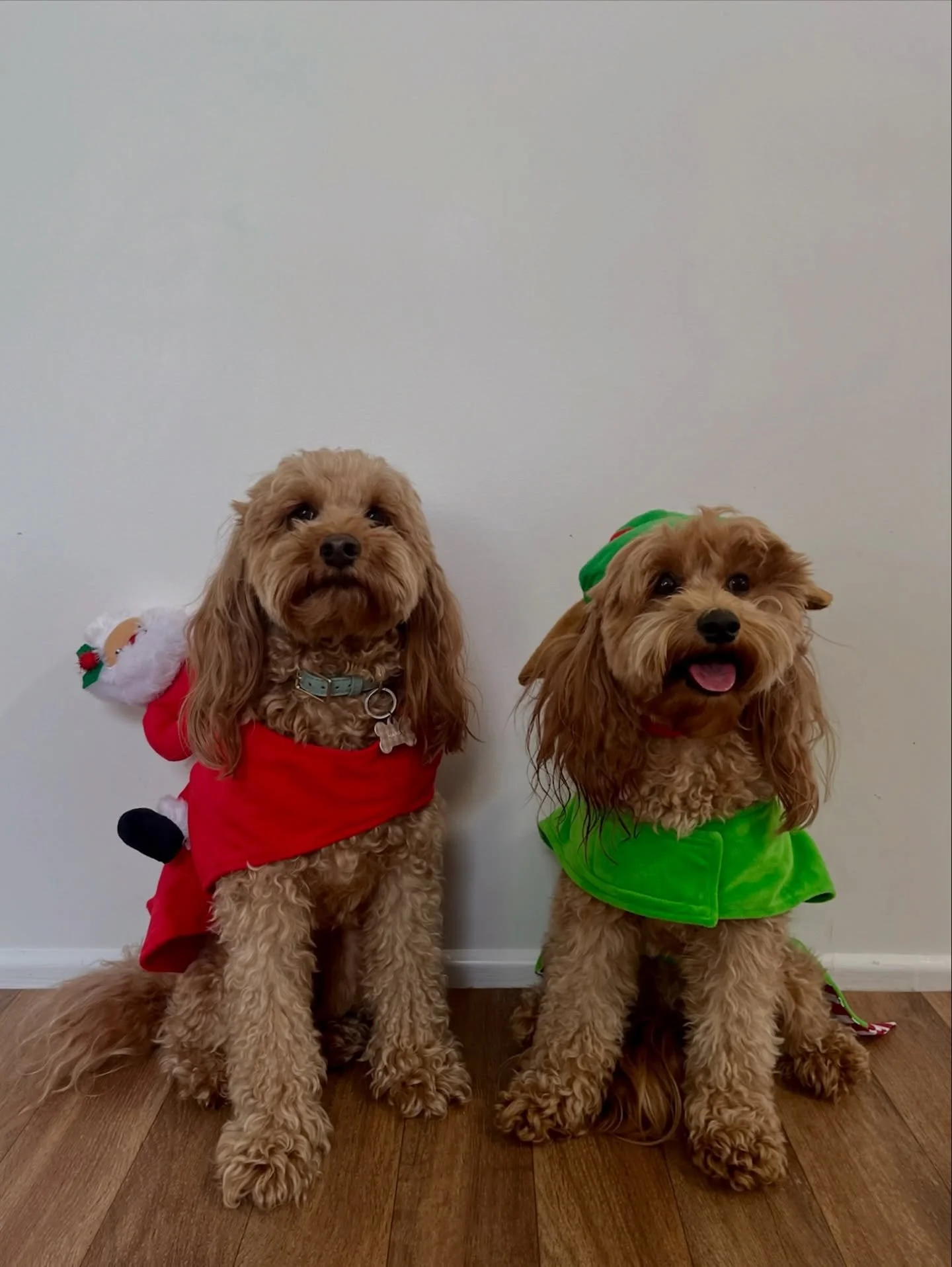 All wrapped up for the year 🎁
Part one of the Christmas outfits from the last week of school, everyone looked very festive and merry🎄🎅🏼