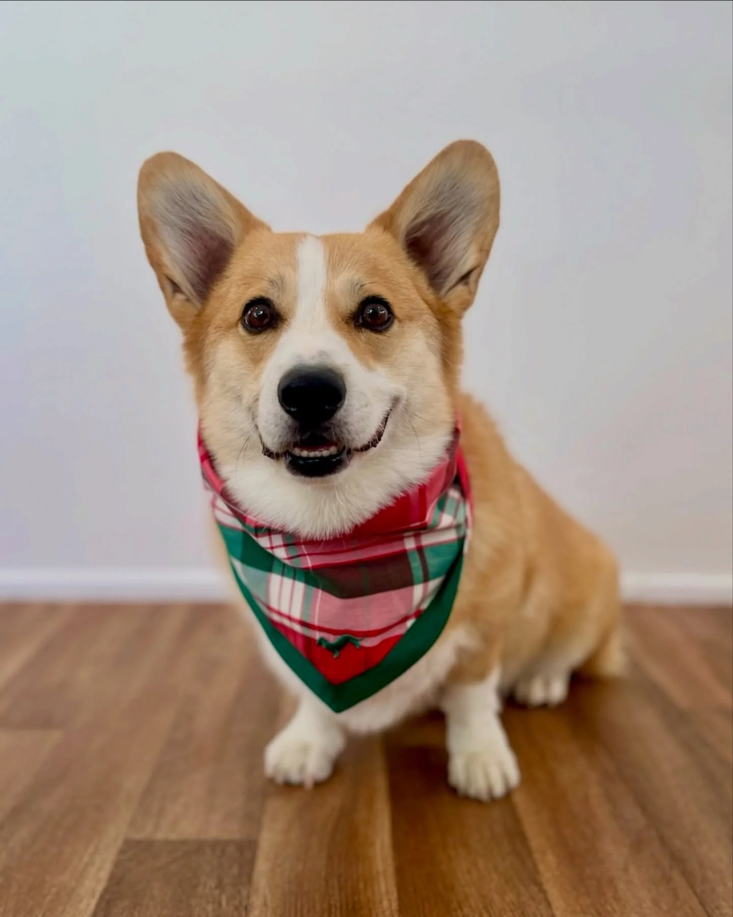 Part two of the Christmas outfits from the last week of school 🎄⭐️🎅🏻