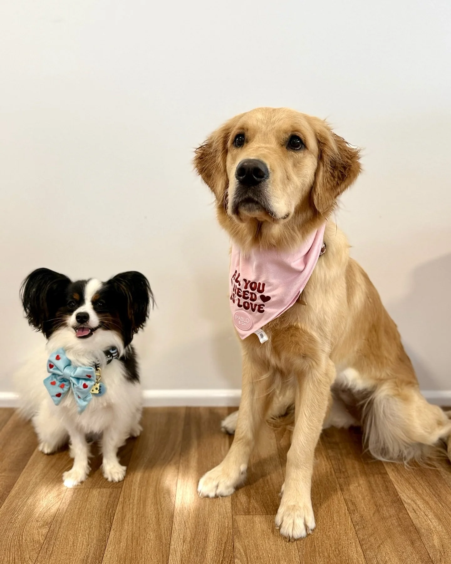 Roses are red, violets are blue, the Doggi dogs send Valentine&rsquo;s Day wishes to you! 💌