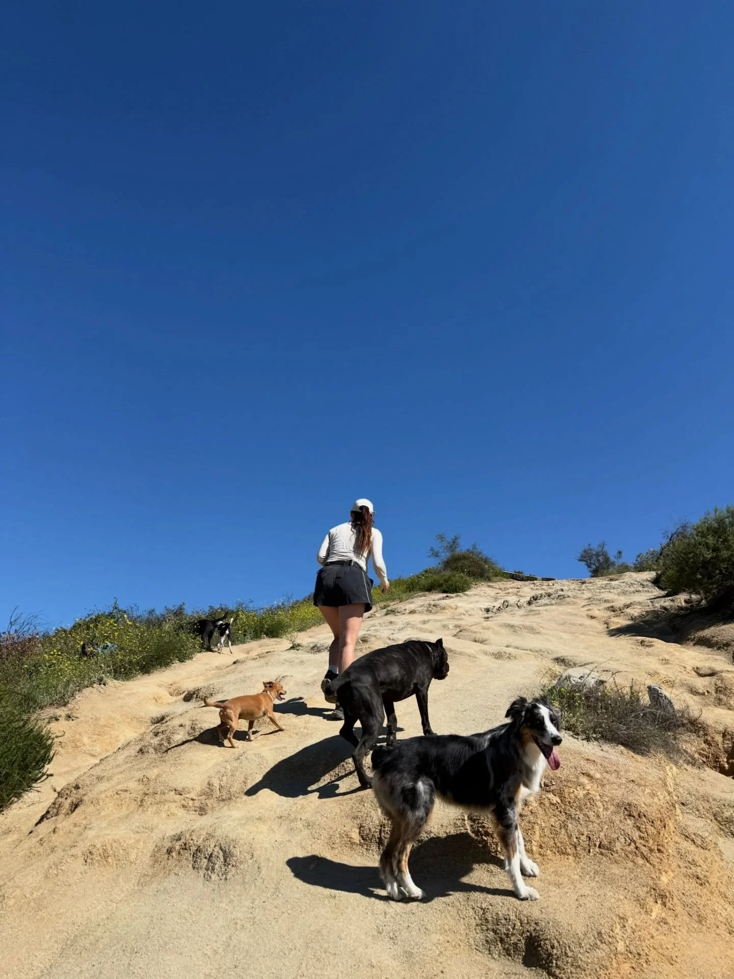 📍Runyon Canyon 

Definitely one of the highlights of the week for us! 👏🏼
