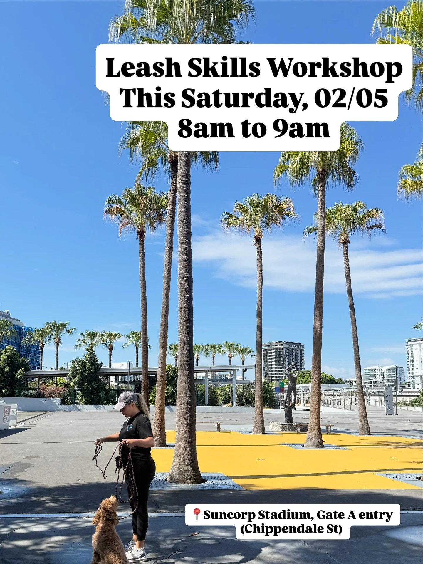 Everything starts with the walk 🐾

If you can nail a loose lead walk with your dog, everything else will begin to fall into place. 

Our Leash Skills Workshop will give you the tools to crate calm, connected walks 🩵