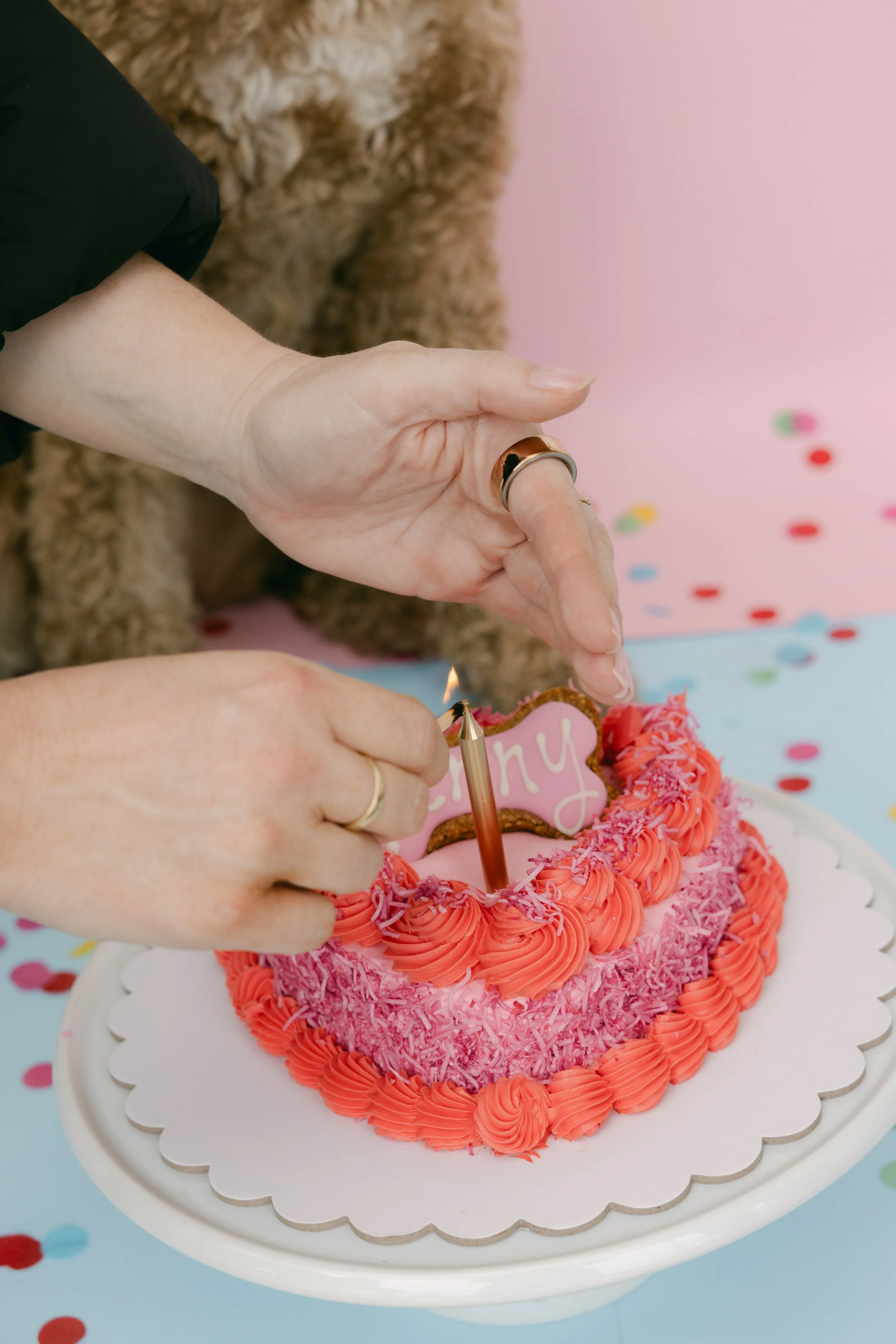 RGS_DOGGI_DESSERTS62.jpg