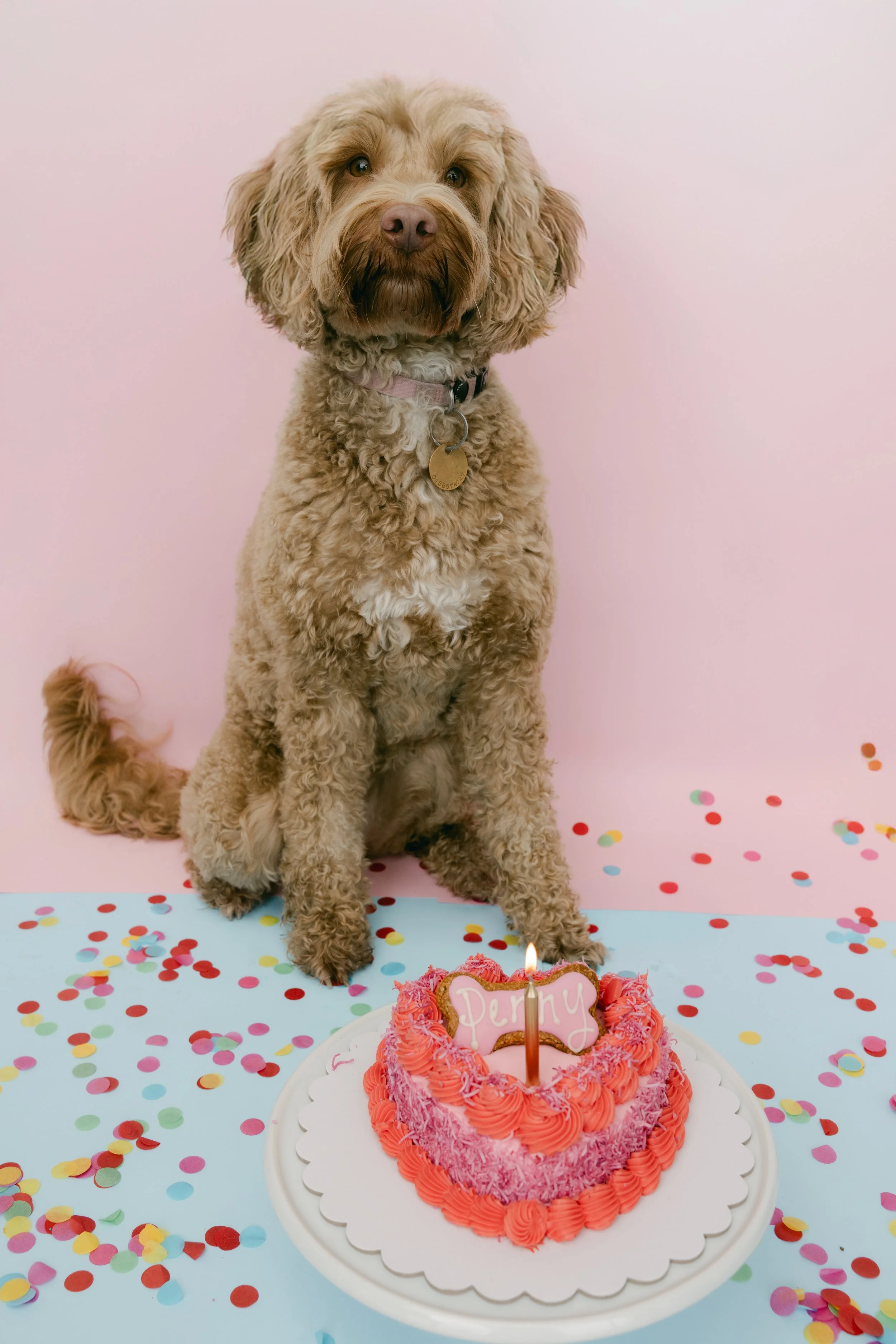 RGS_DOGGI_DESSERTS63.jpg