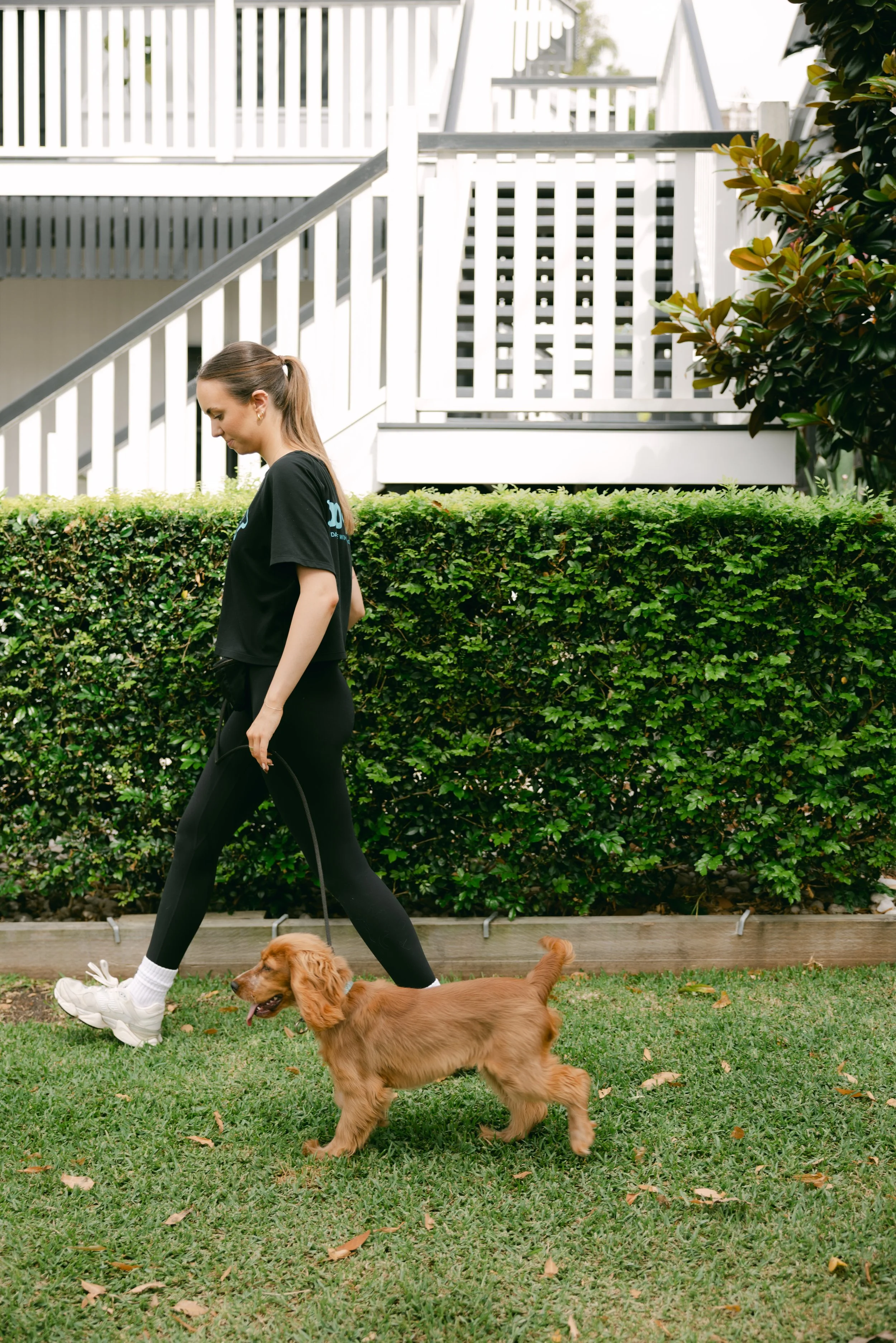 Training for a golden retriever puppy on a leash in a garden with green bushes and a white wooden house in the background.