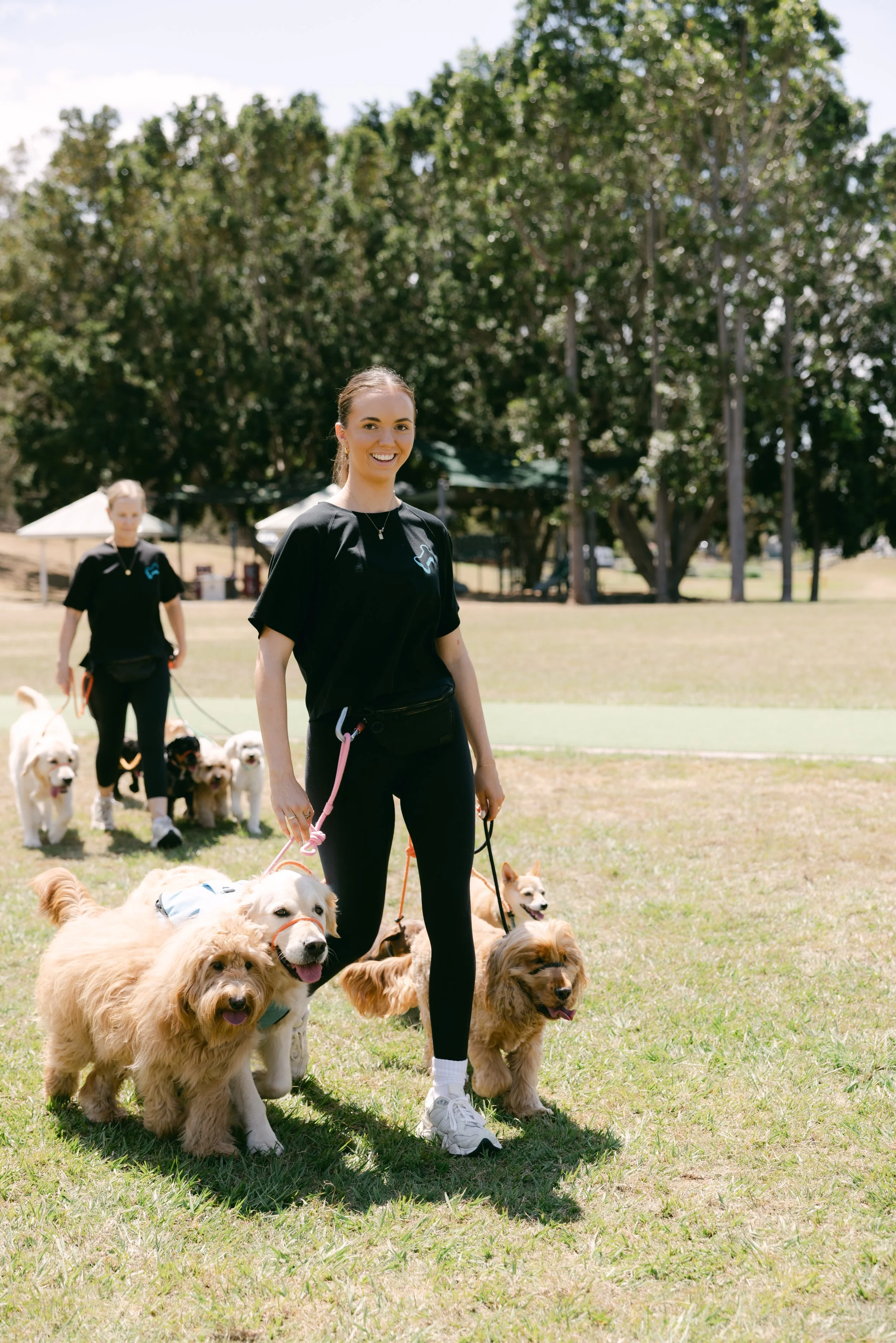 Brisbane expert dog trainers walking multiple dogs in a park on a sunny day, with trees and a grassy area in the background.