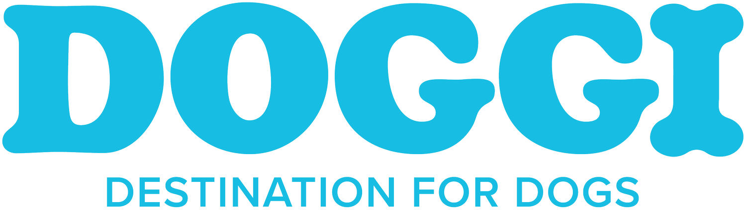 Doggi – Destination for Dogs in Brisbane