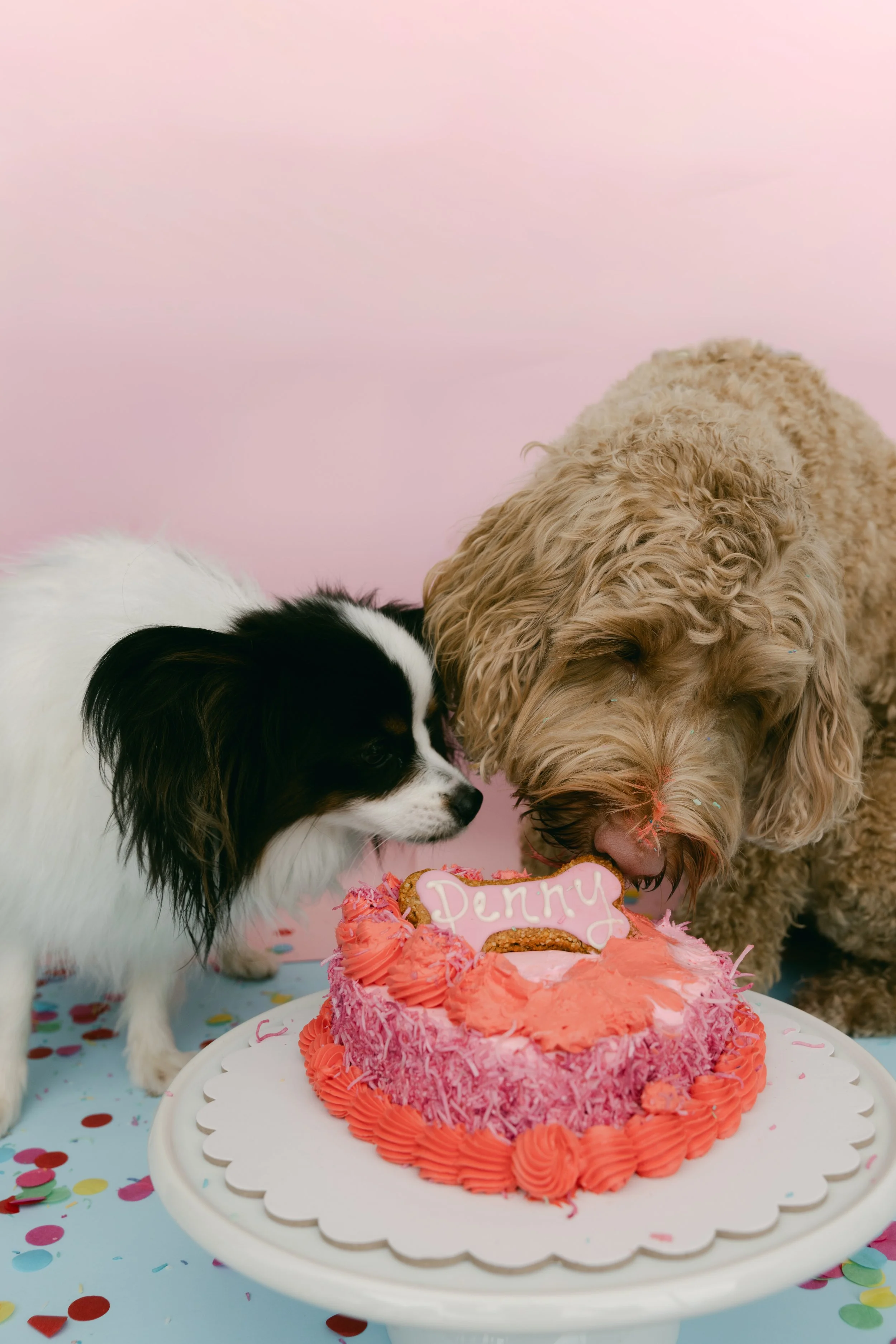 RGS_DOGGI_DESSERTS94.jpg