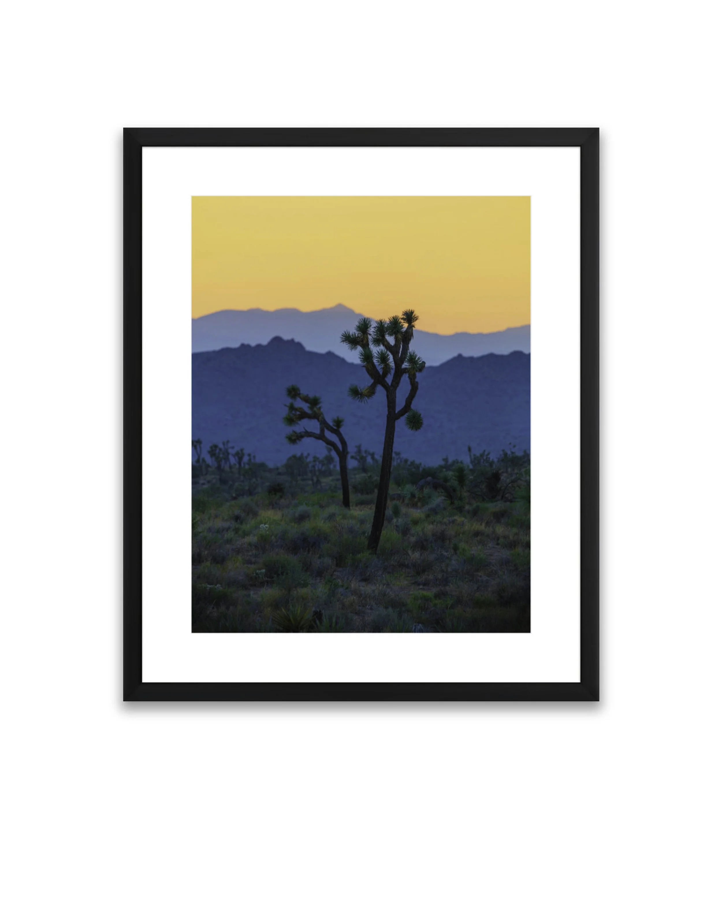 Joshua Tree Duo