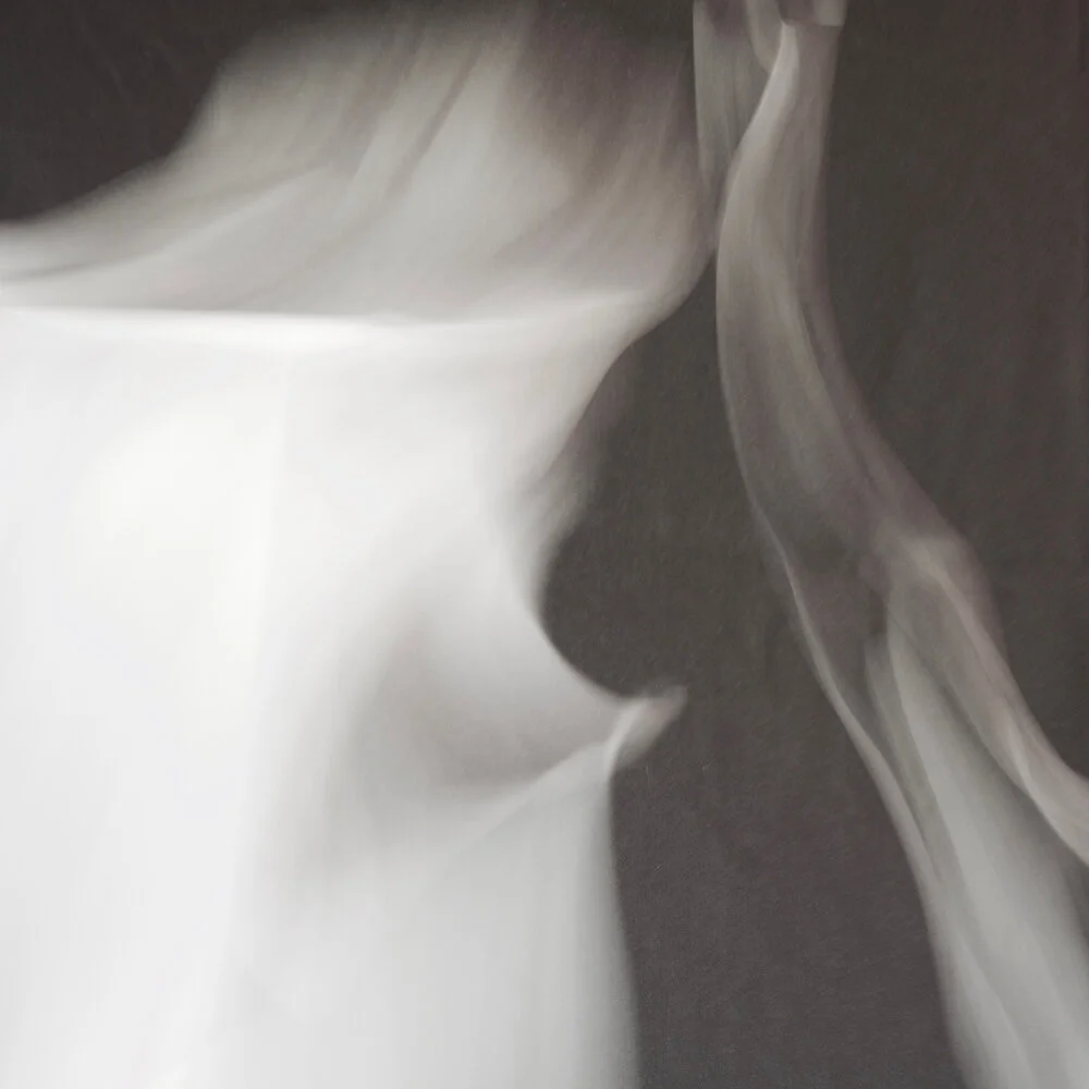 Tissue_0037.jpg