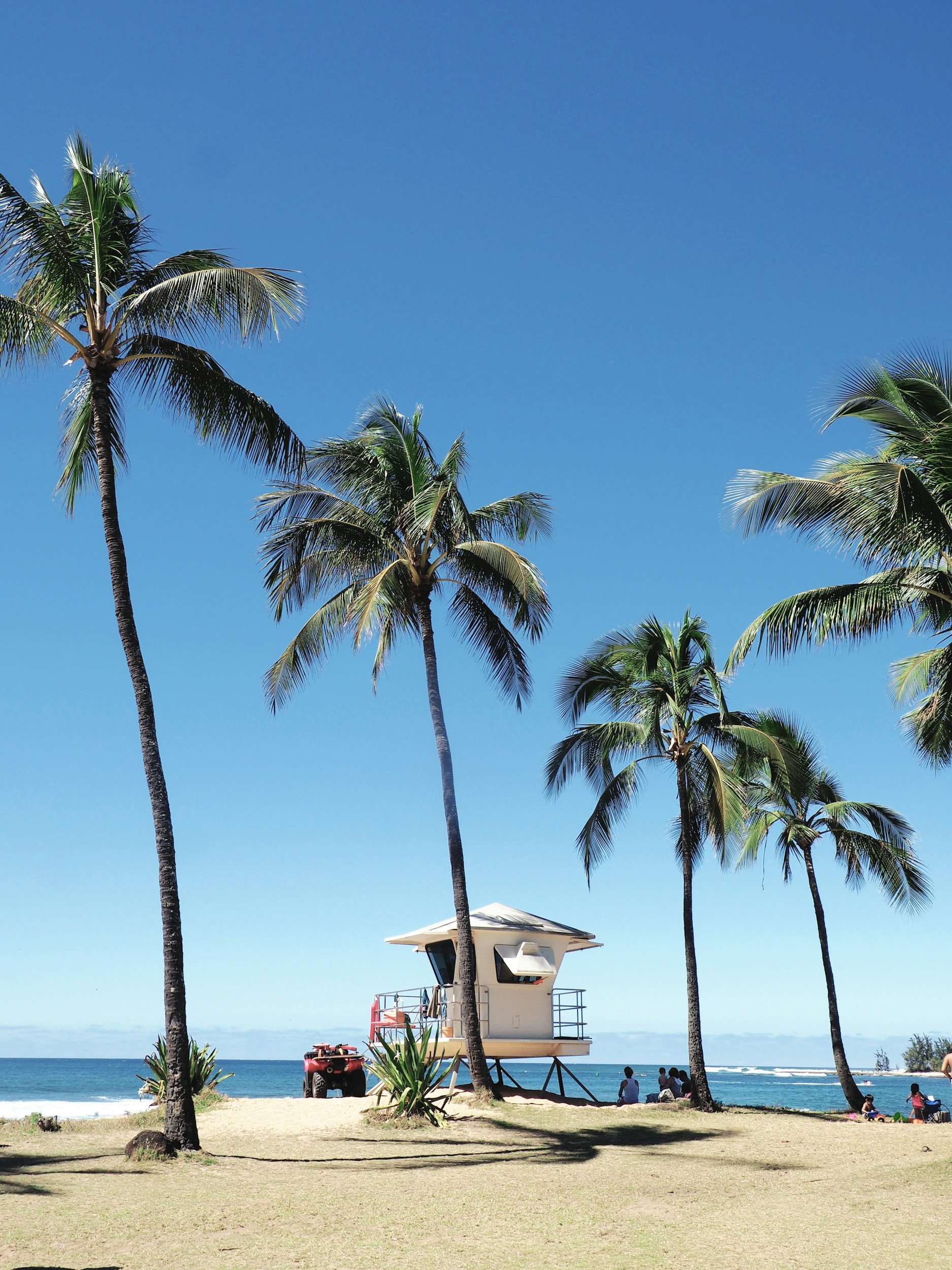 Scenic lifeguard tower at Haleiwa Alii beach