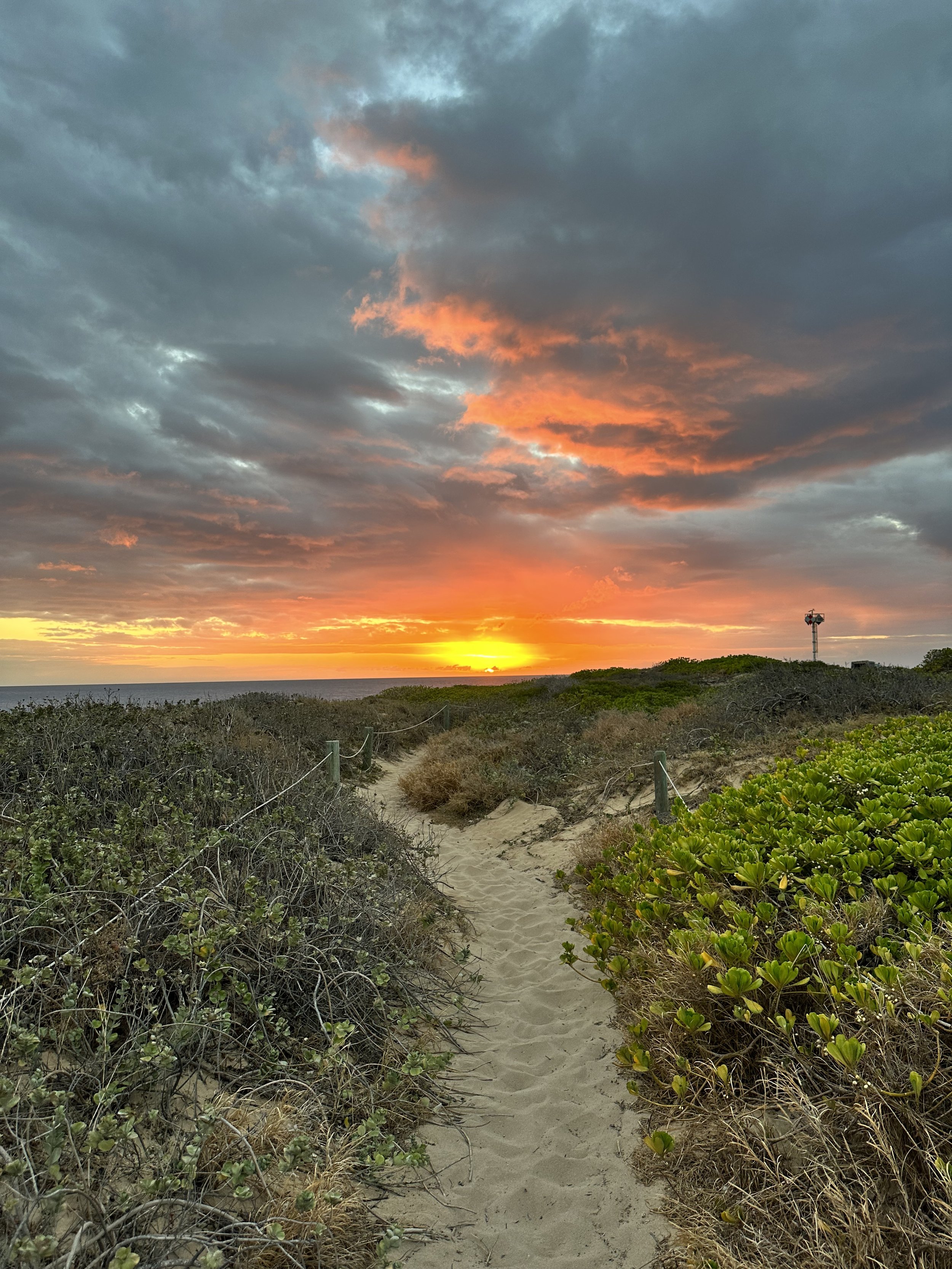 5 year Anniversary Special