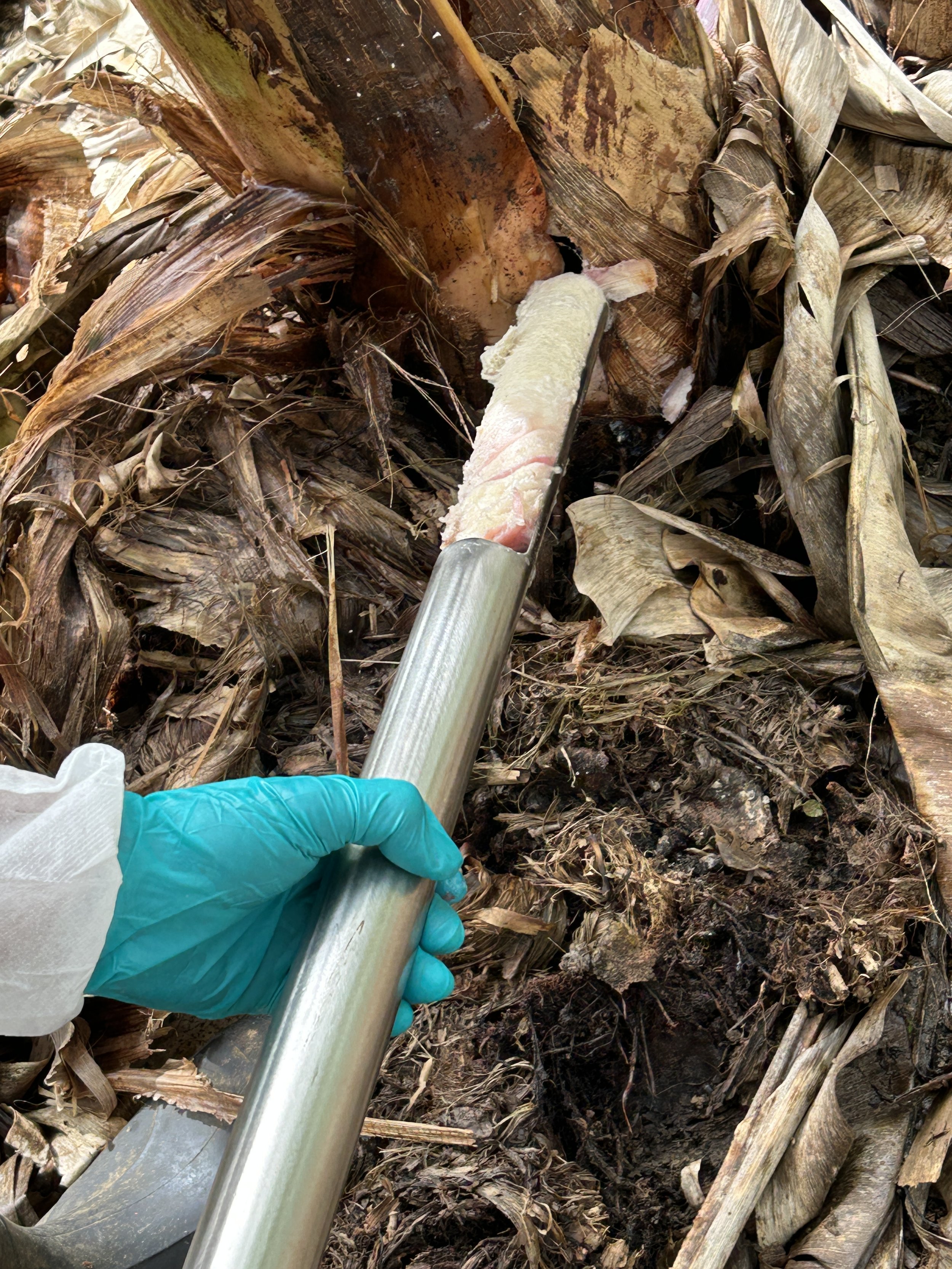 New approach to sampling on properties with Panama TR4