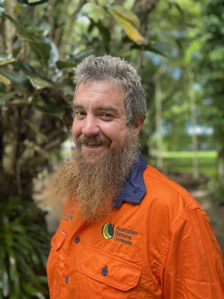 Banana farms large and small&nbsp;